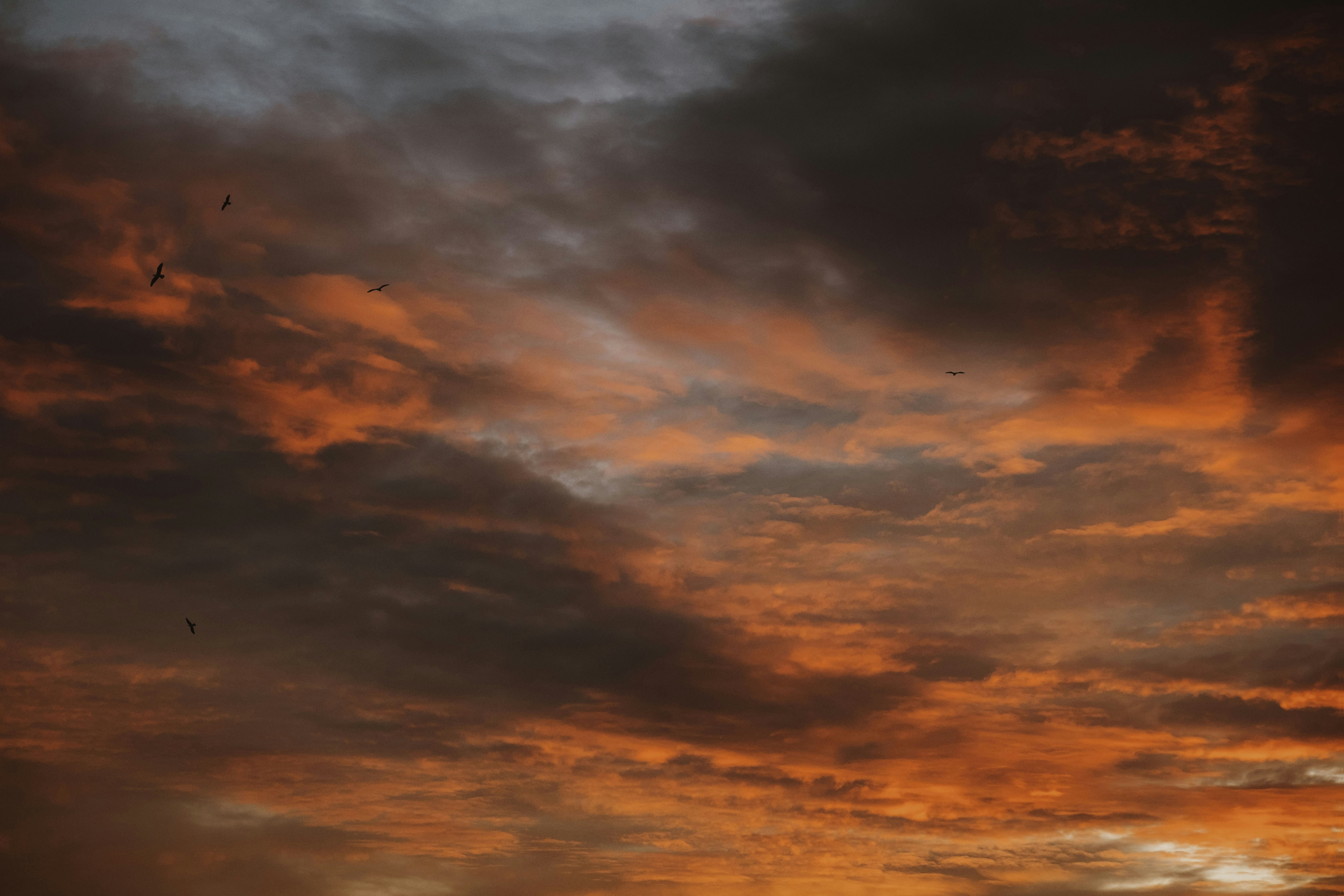 Photo by absolutocaos