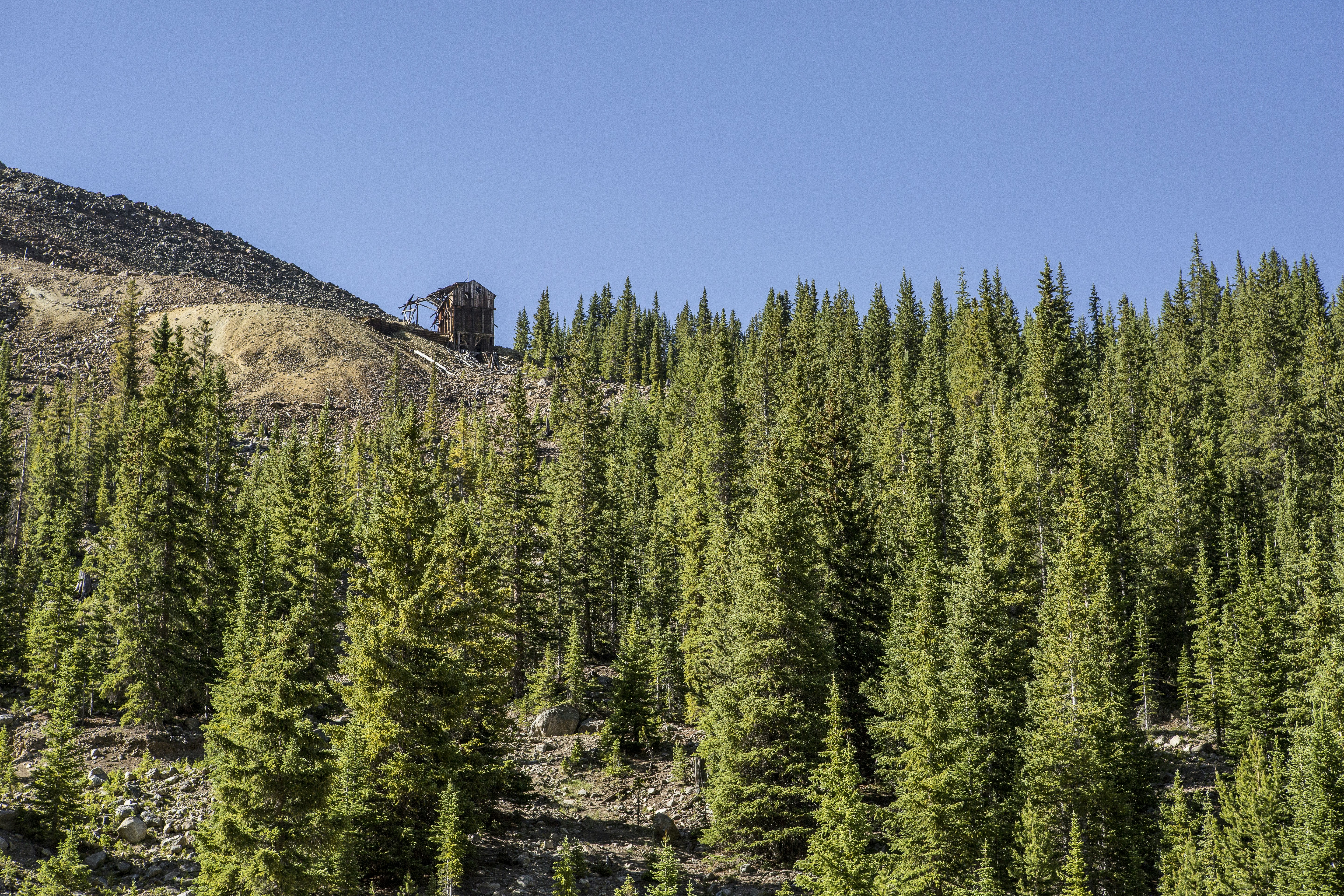 Photo by joetography