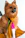 A cheerful small dog wearing a colorful handmade outfit, sitting happily on a bright cushion.