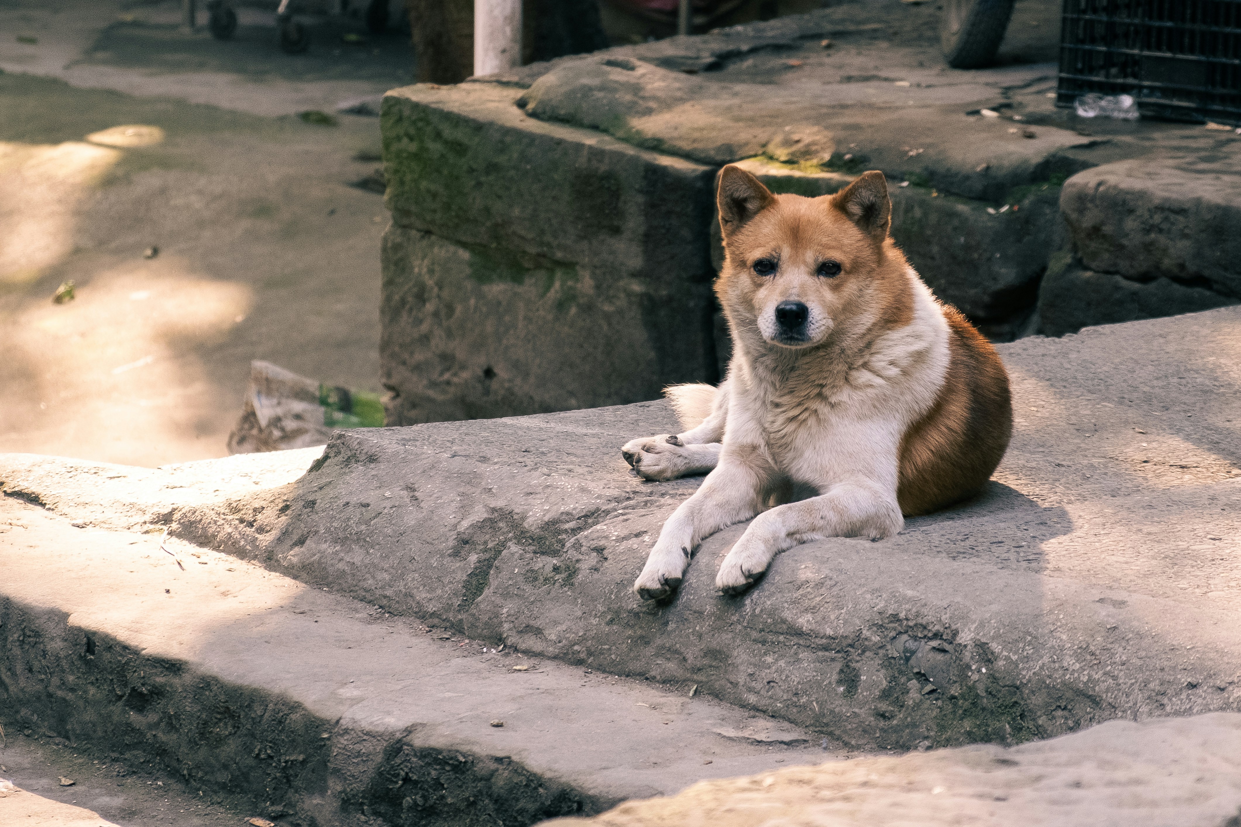 Link Between Feeding and Emotional State