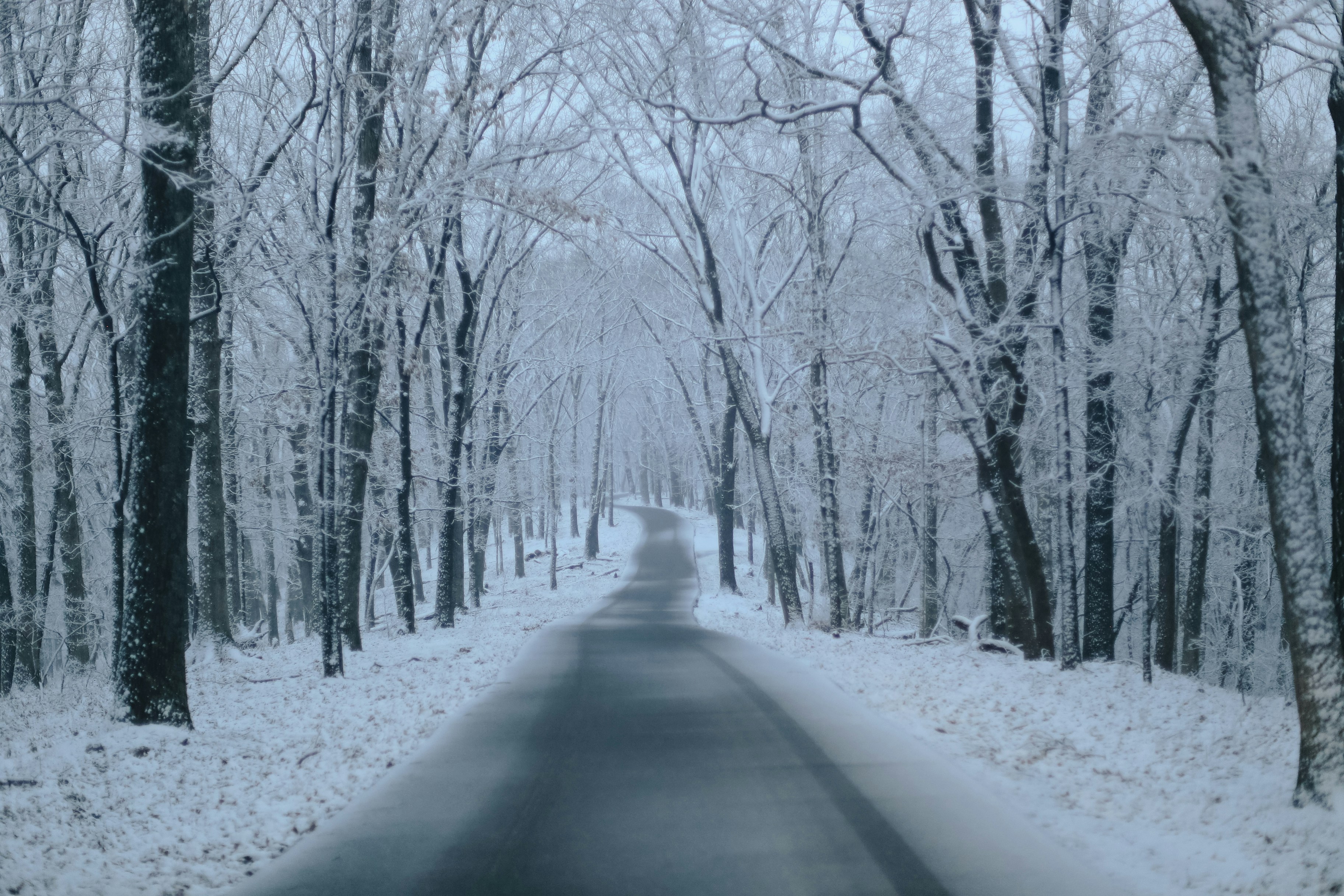 Photo by jessicalfadel