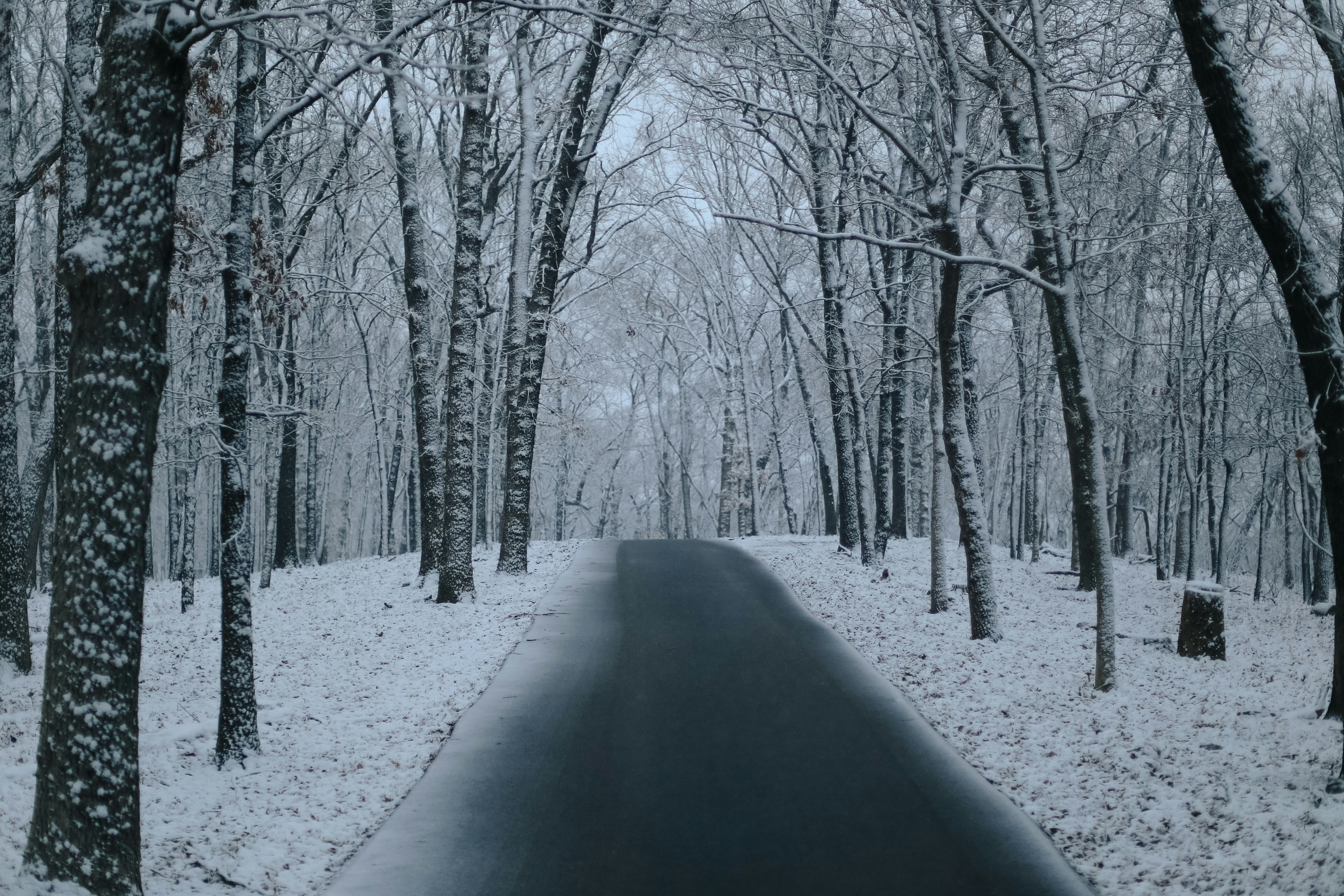 Photo by jessicalfadel