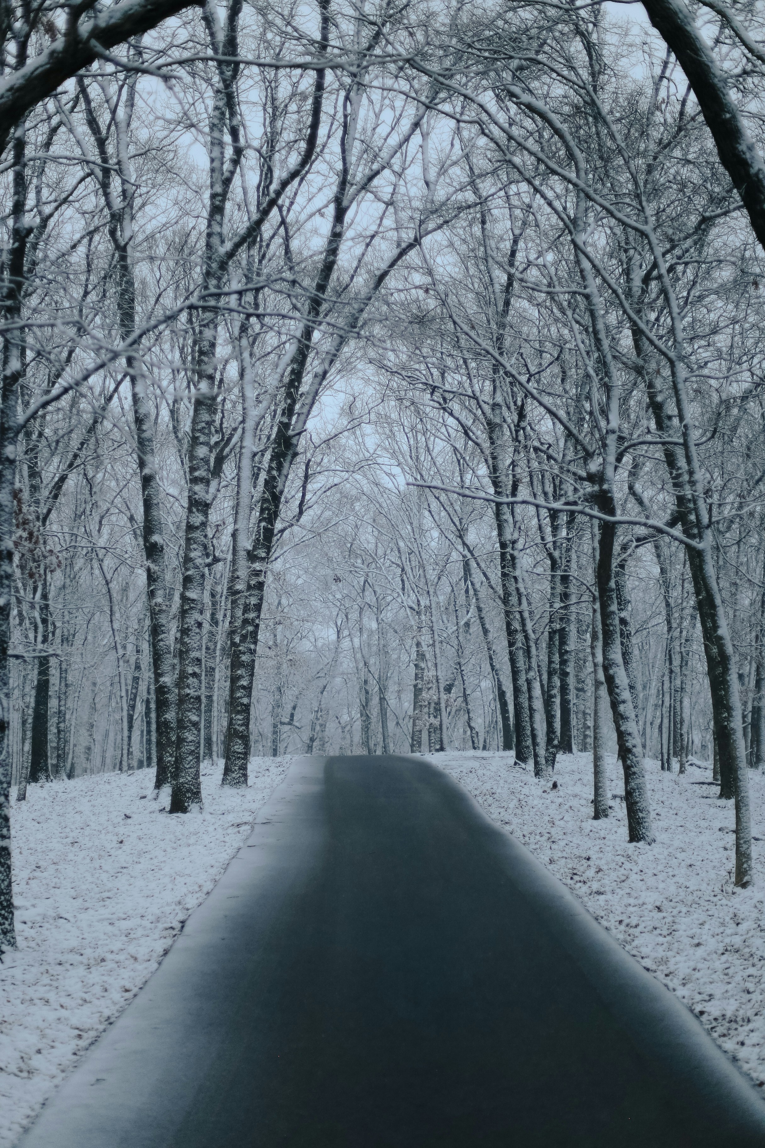 Photo by jessicalfadel