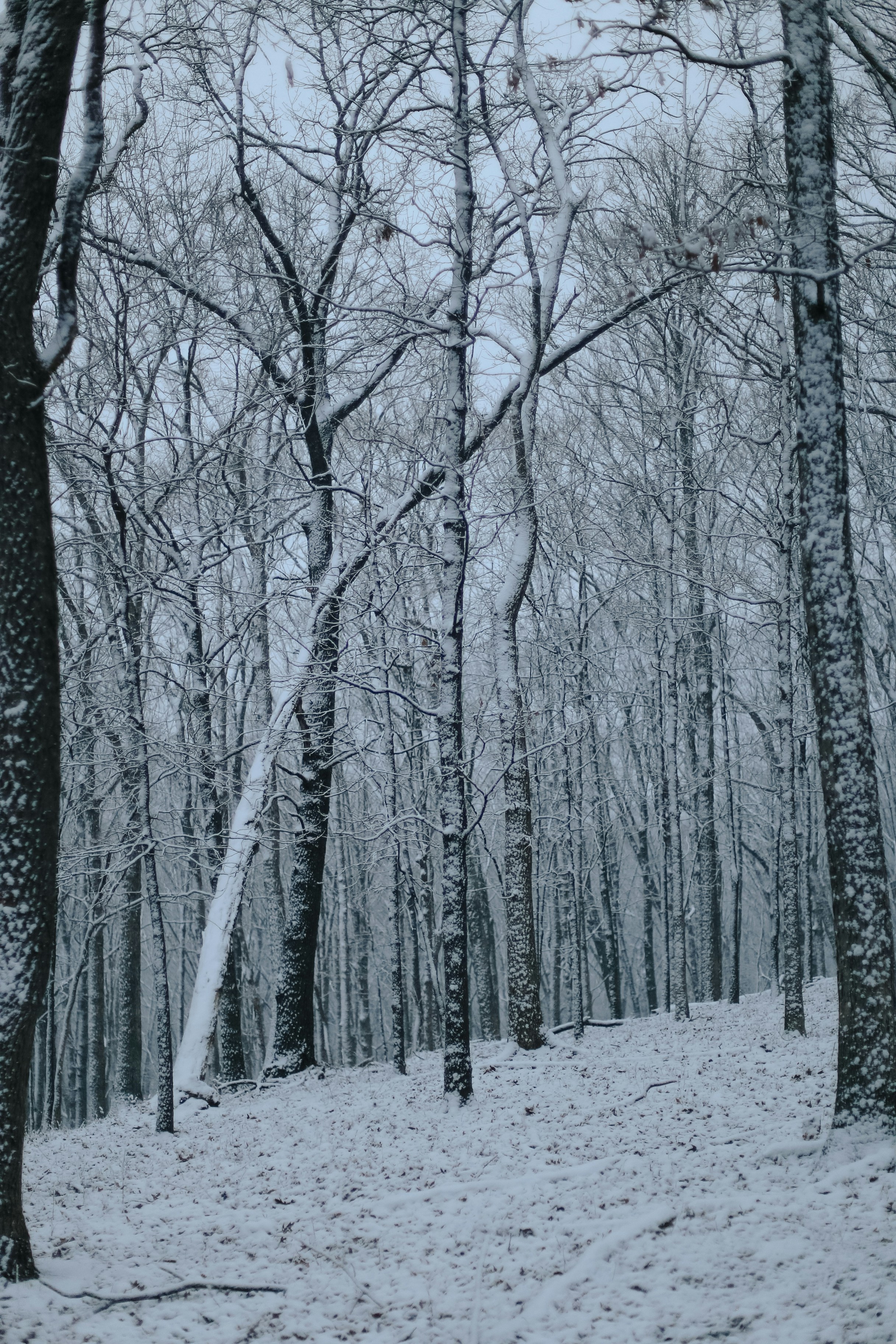 Photo by jessicalfadel