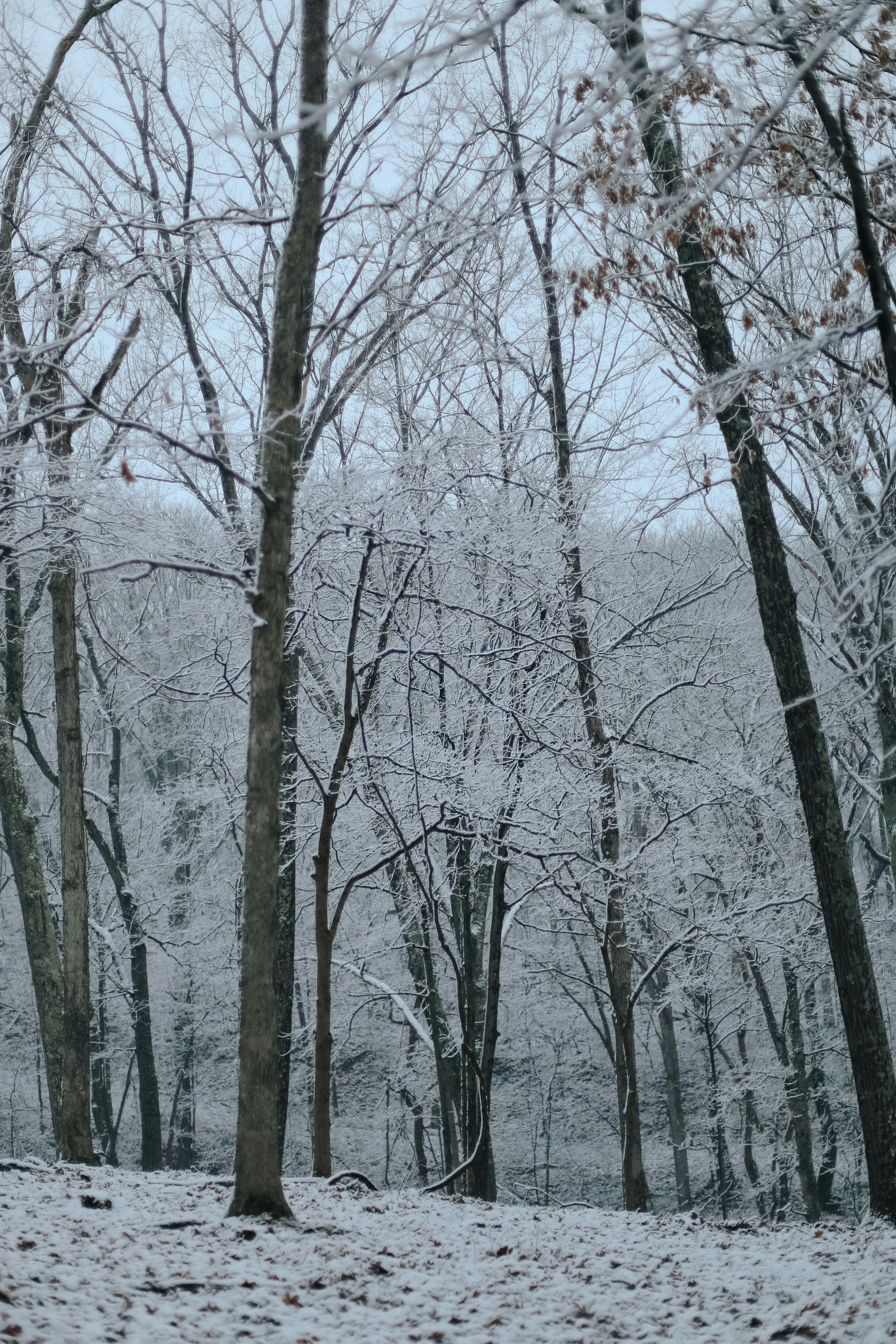 Photo by jessicalfadel