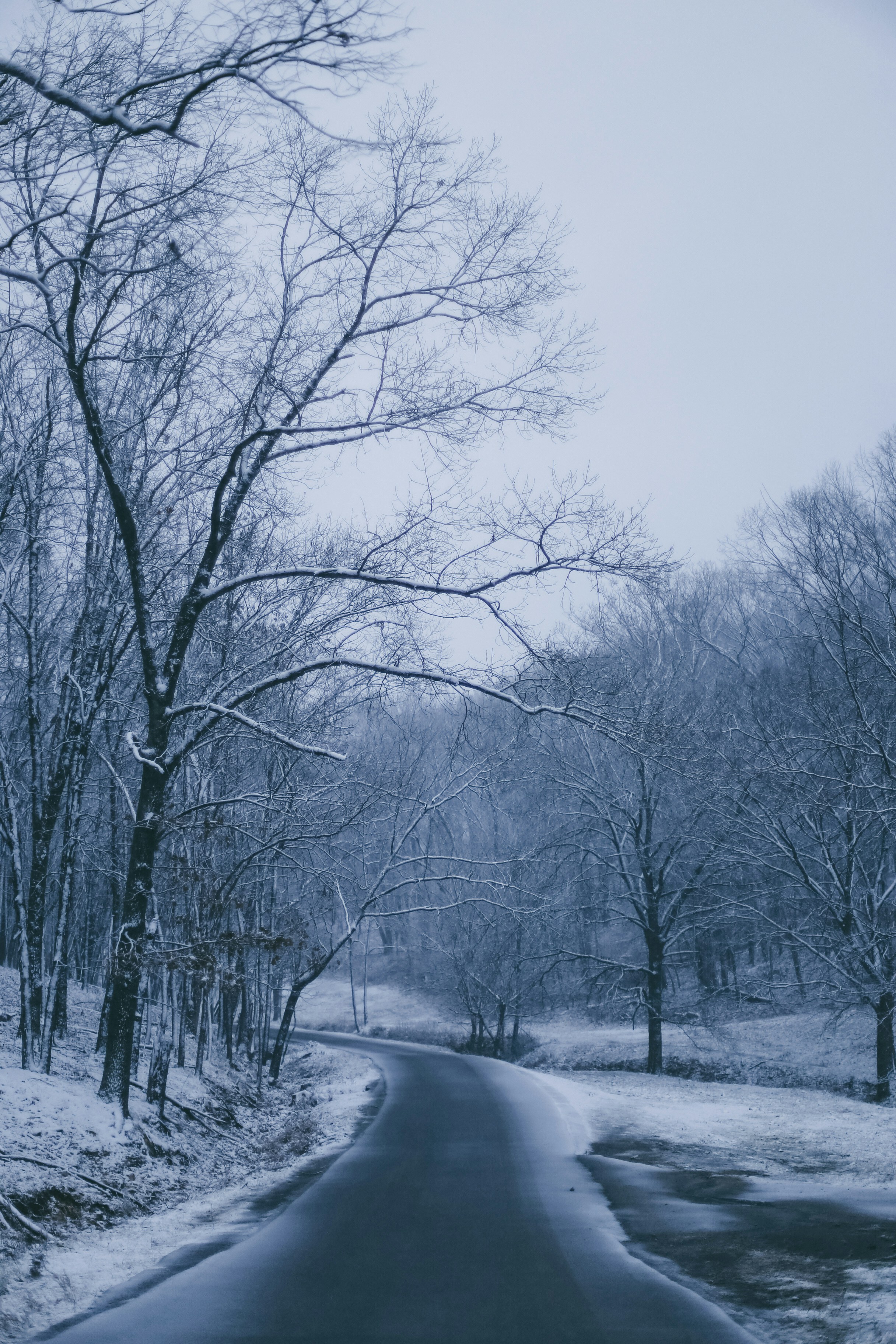 Photo by jessicalfadel