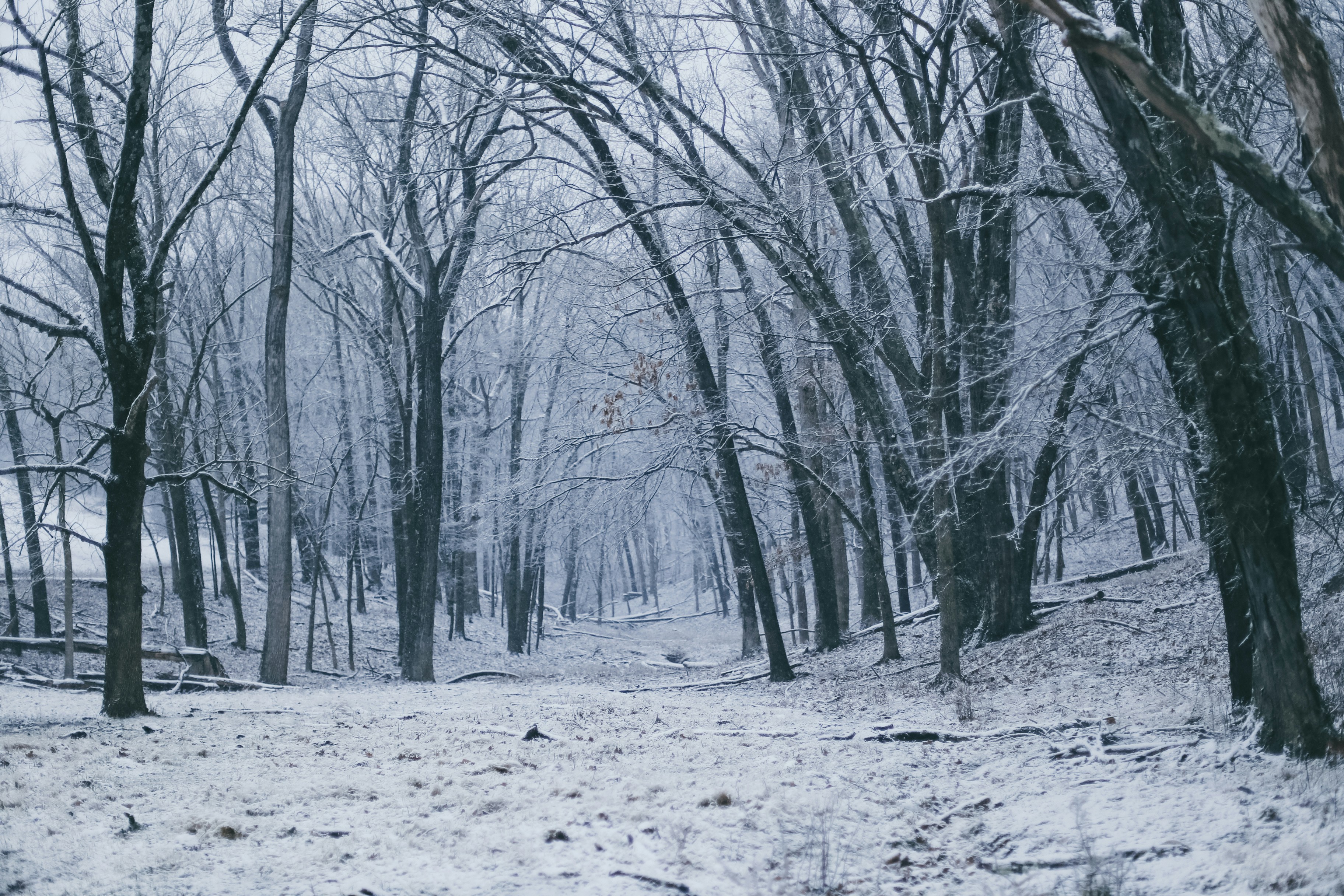 Photo by jessicalfadel