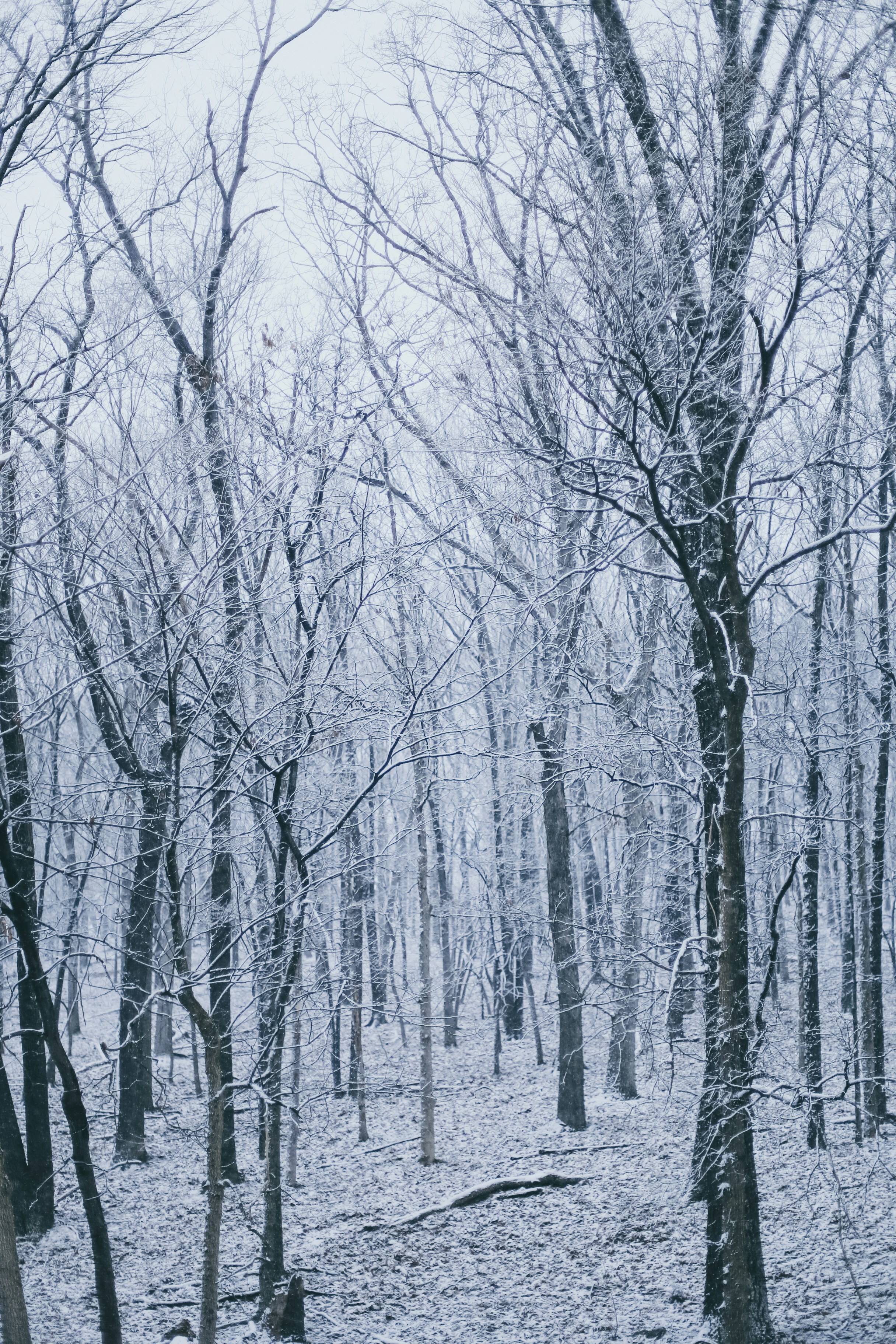 Photo by jessicalfadel