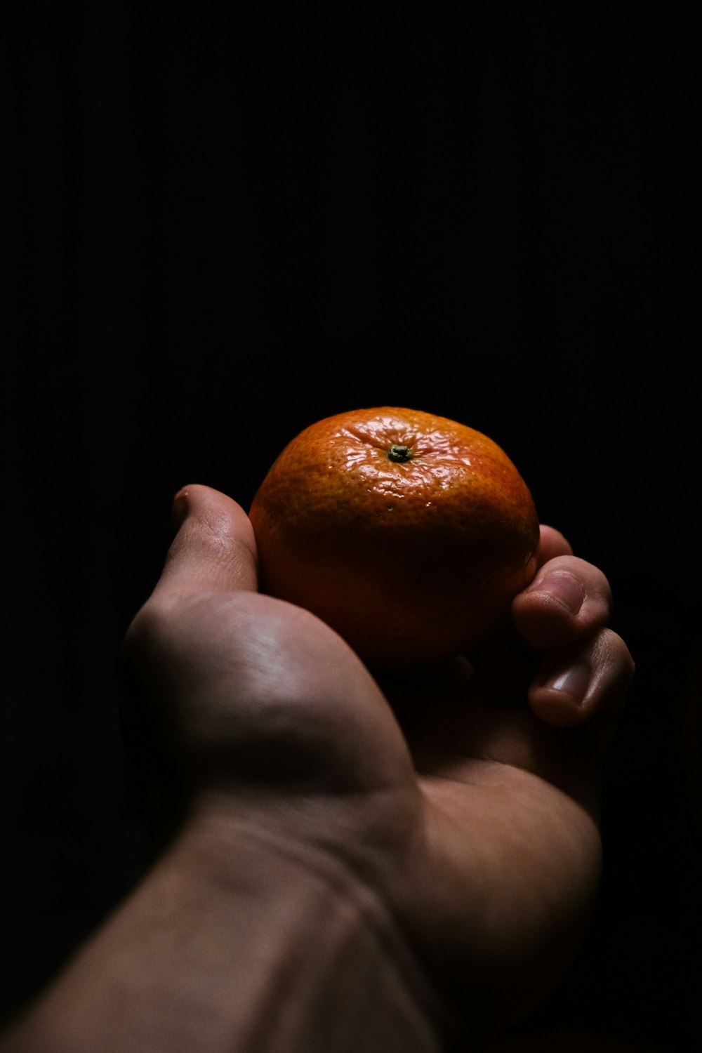 person holding orange citrus fruit