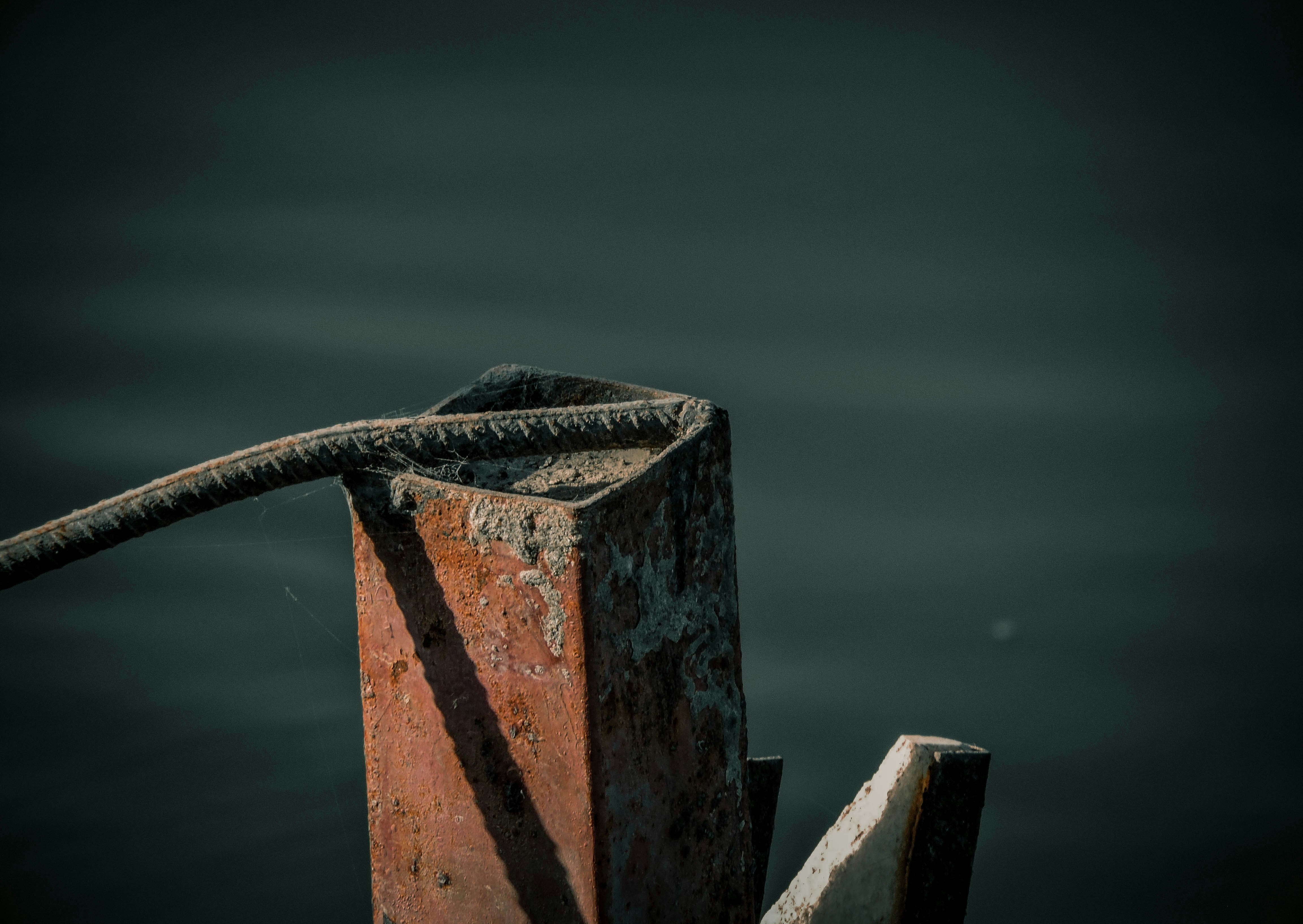 Photo by pringles_2002