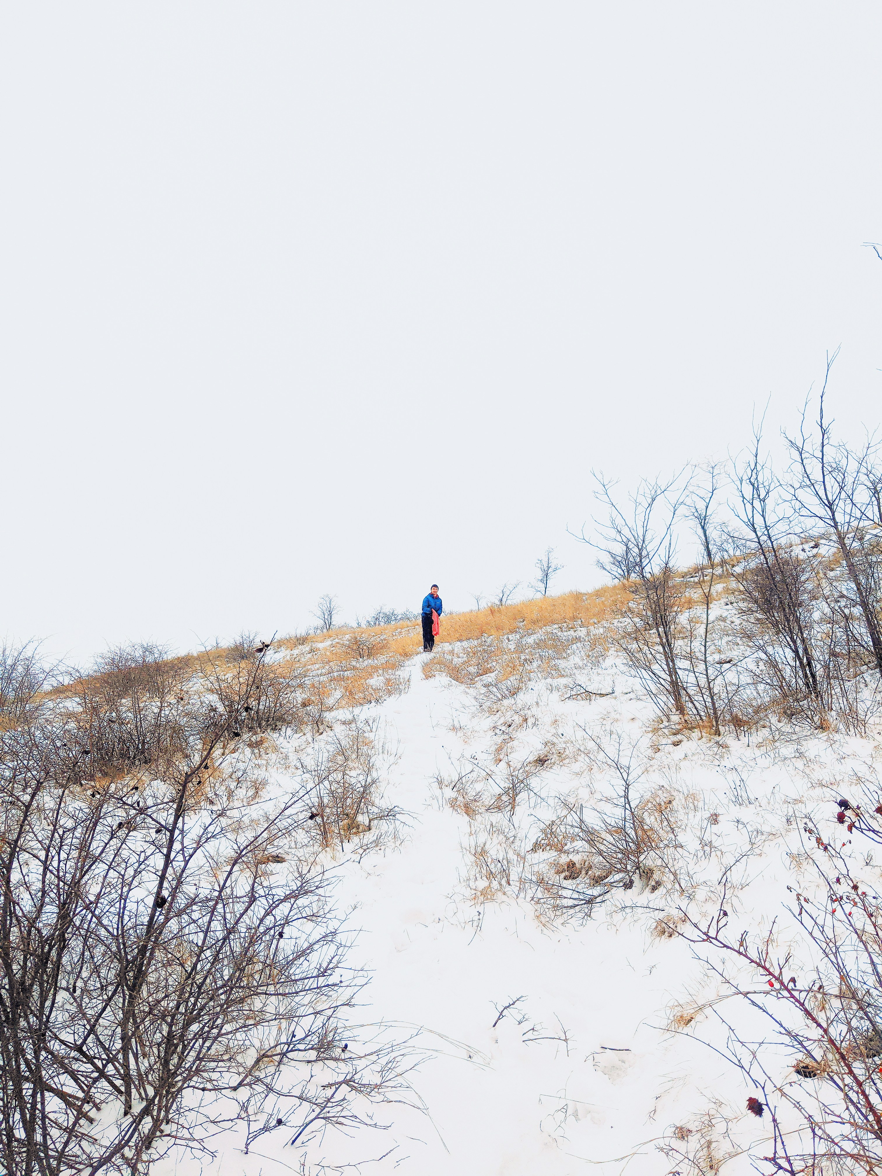 Photo by animgraphlab