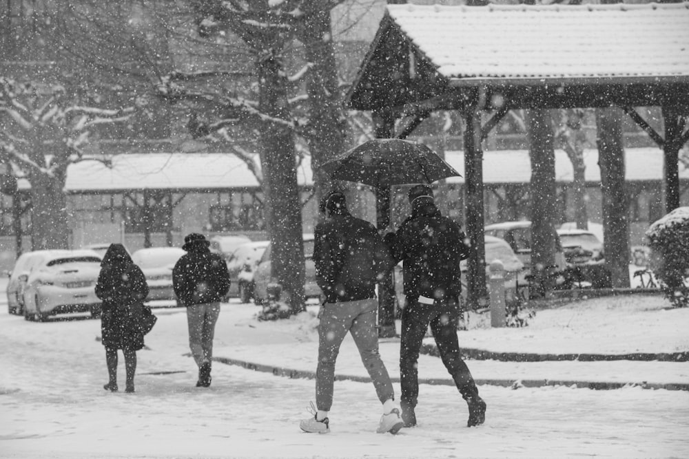 grayscale photo of 2 men and woman walking on snow covered ground