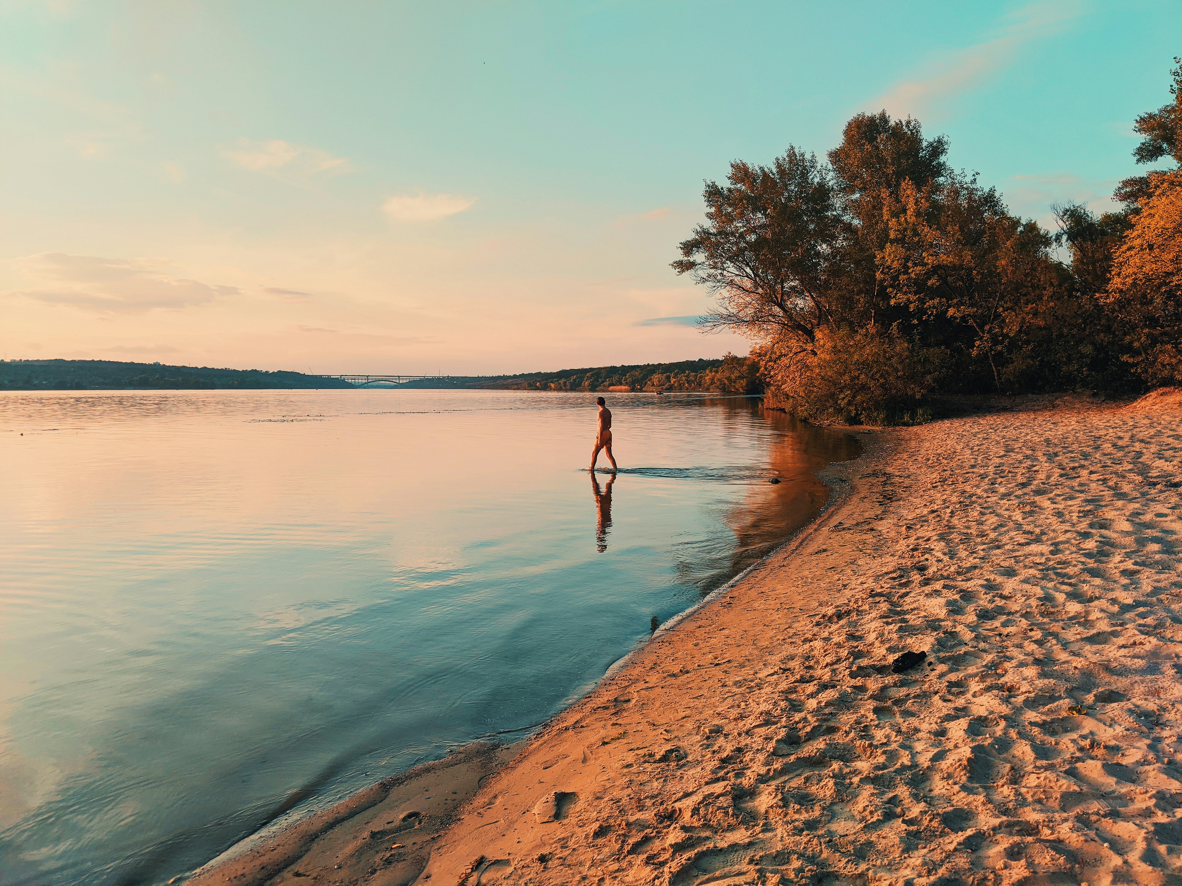 Photo by animgraphlab