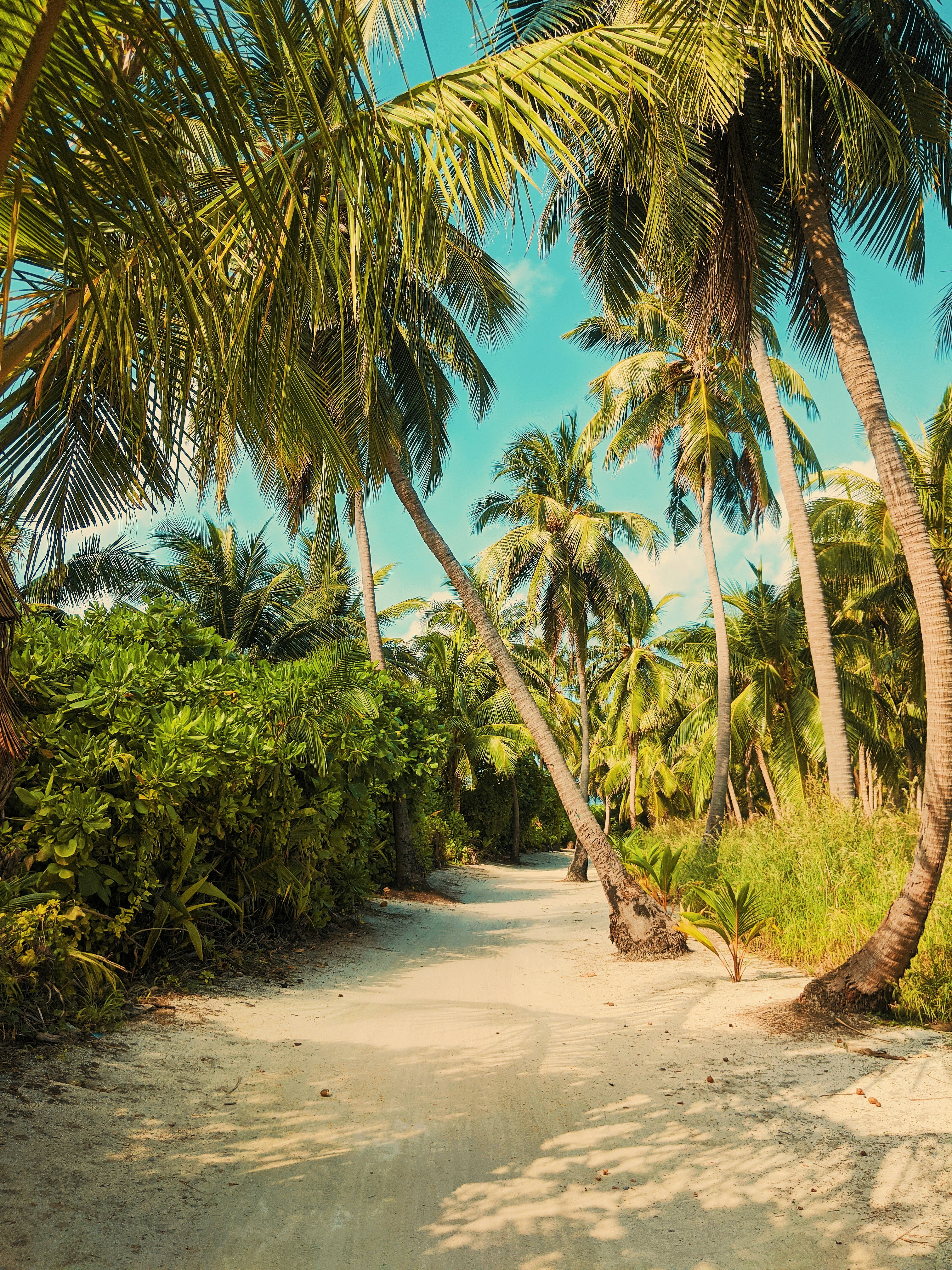 Photo by animgraphlab