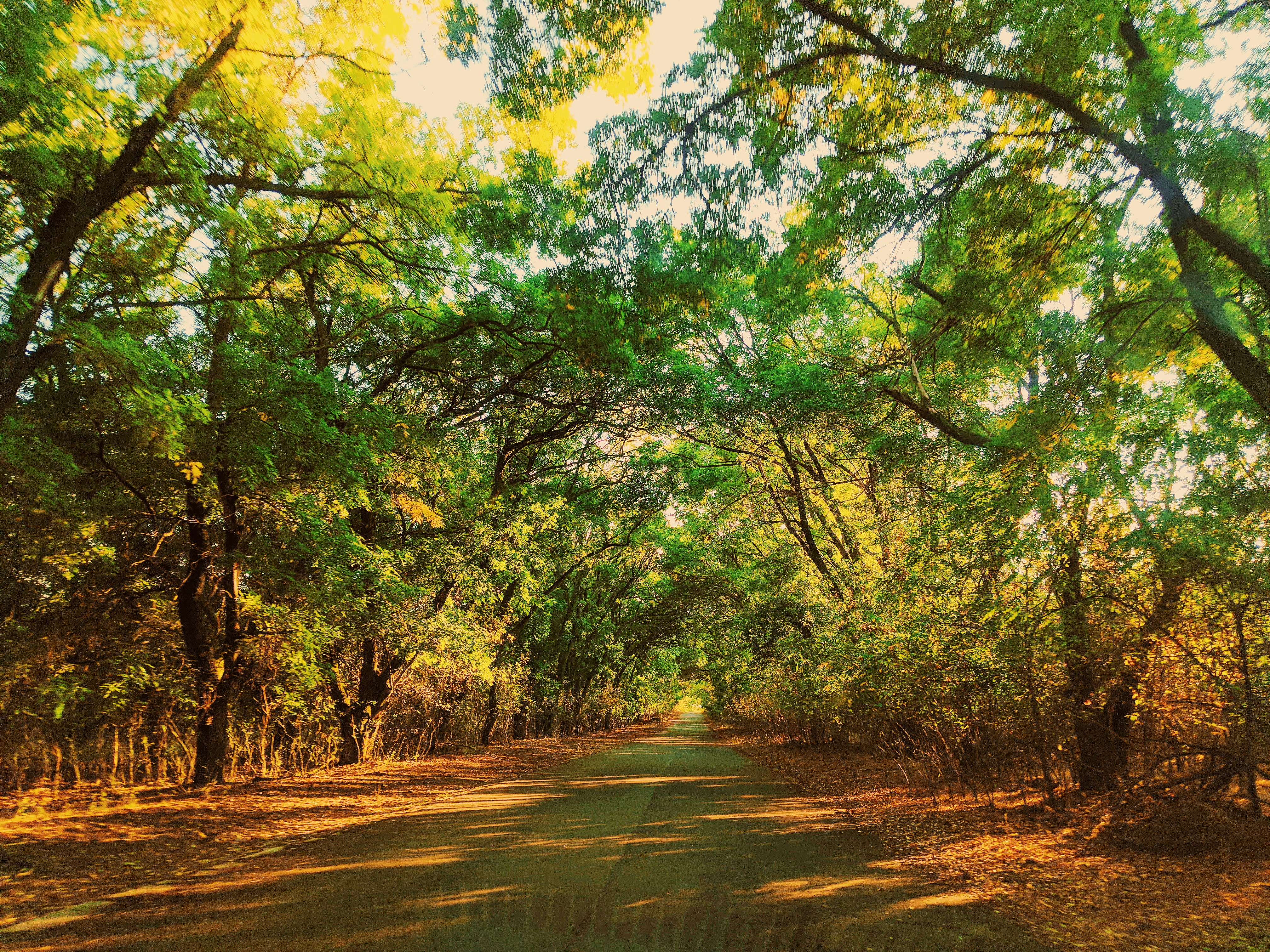 Photo by animgraphlab