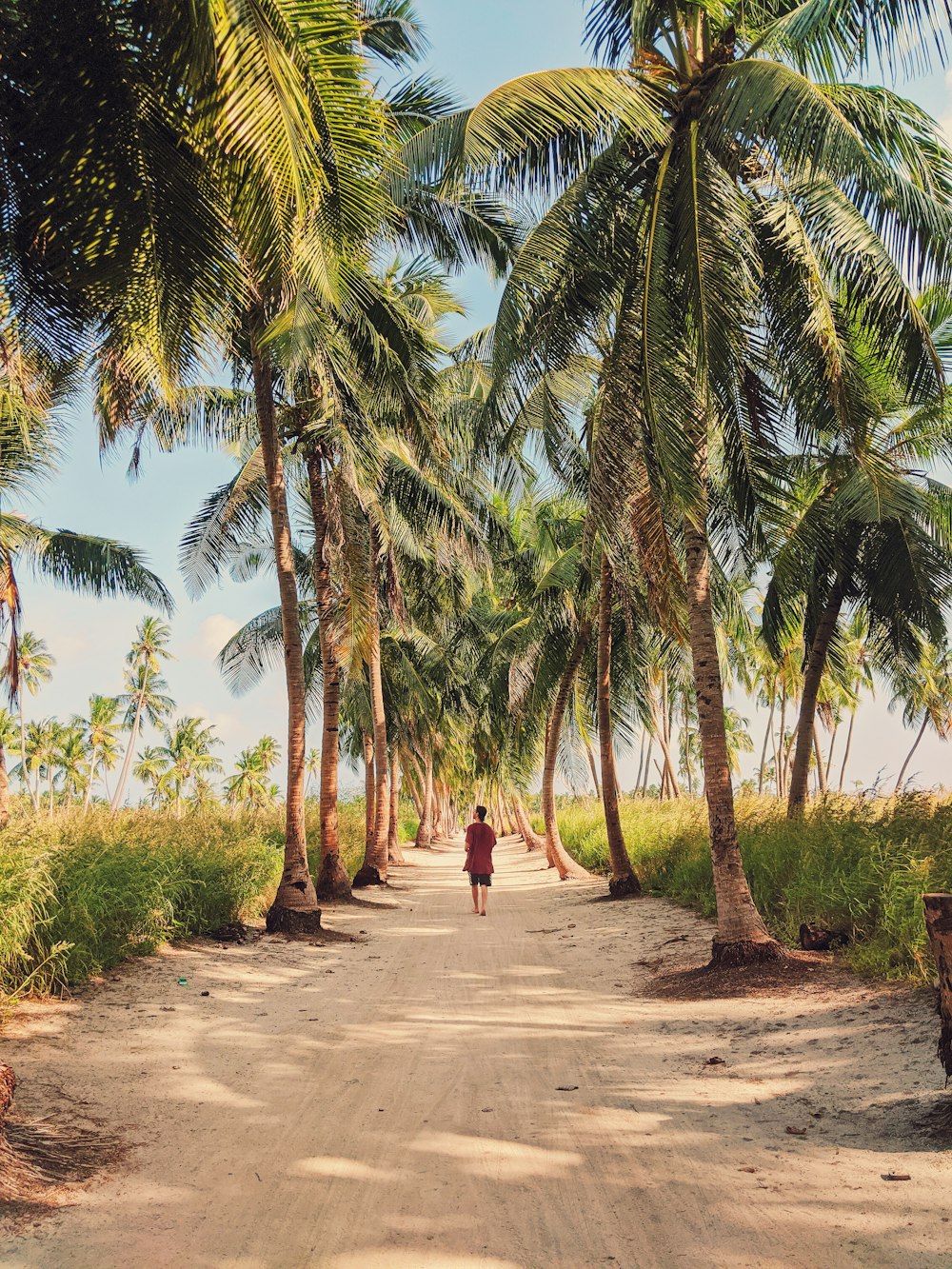woman in black dress walking on brown sand between green palm trees during daytime