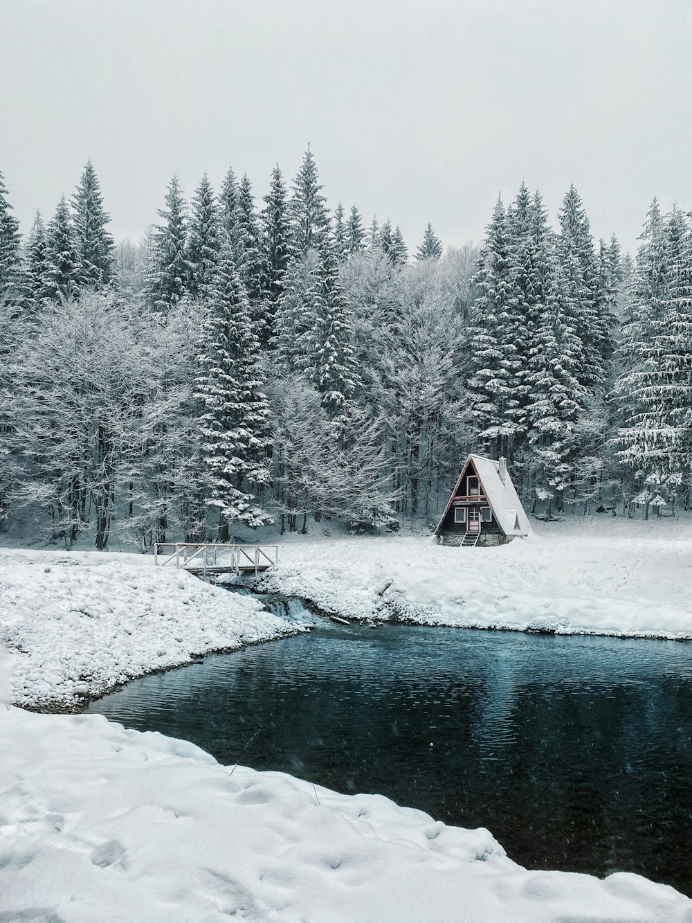 casa marrom e branca perto de árvores cobertas de neve durante o dia