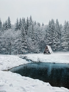 A winter landscape featuring a snow-covered forest with tall evergreen trees. An A-frame cabin is nestled among the trees near the edge of a serene, partially frozen pond. The scene is tranquil, with a small wooden bridge crossing a narrow, snow-blanketed path leading to the cabin.