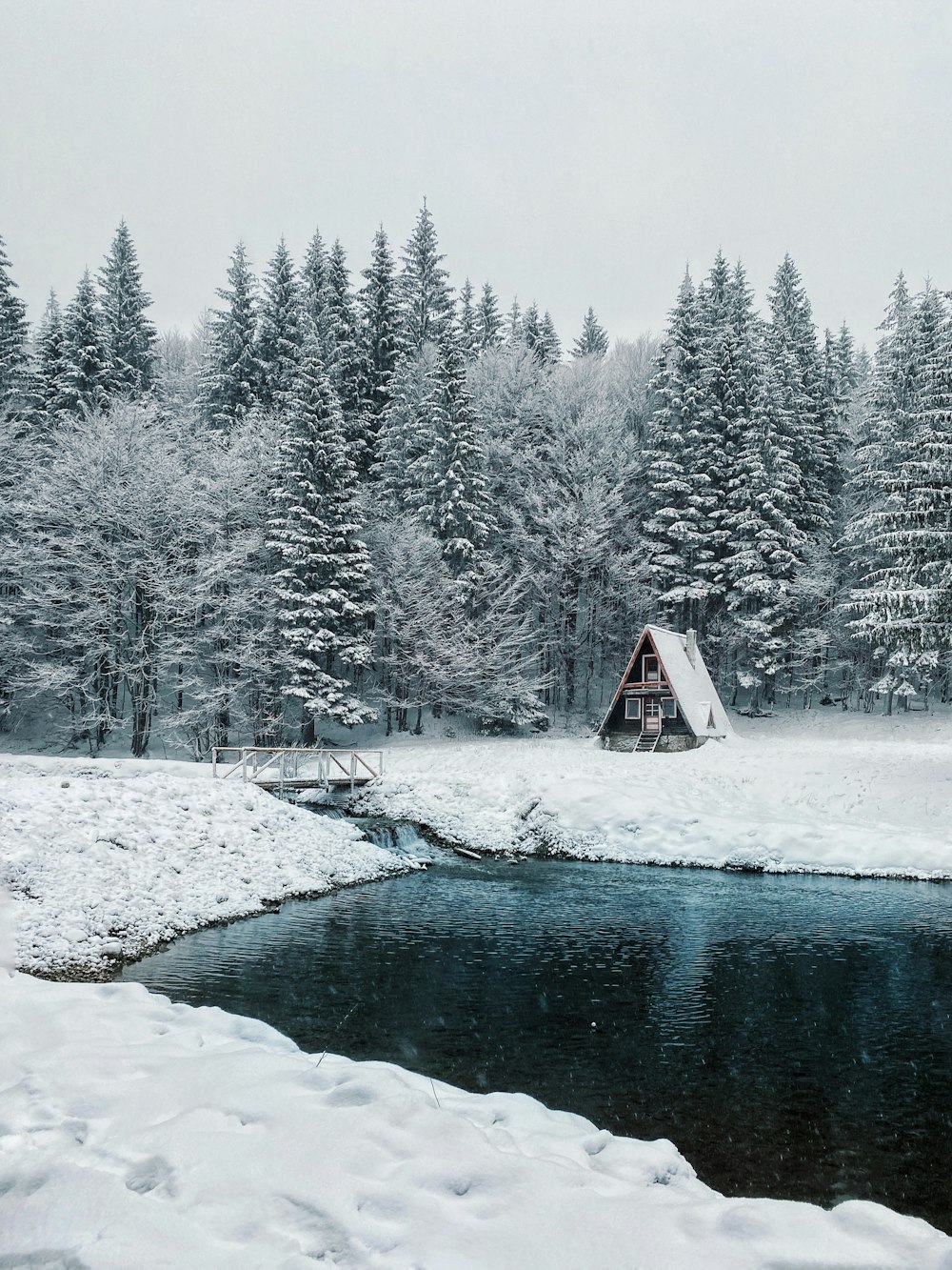 brown and white house near trees covered with snow during daytime