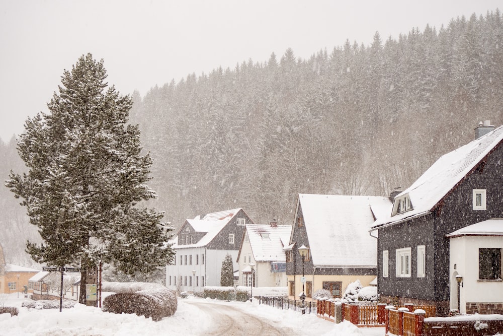 Tagsüber schneebedeckte Häuser und Bäume