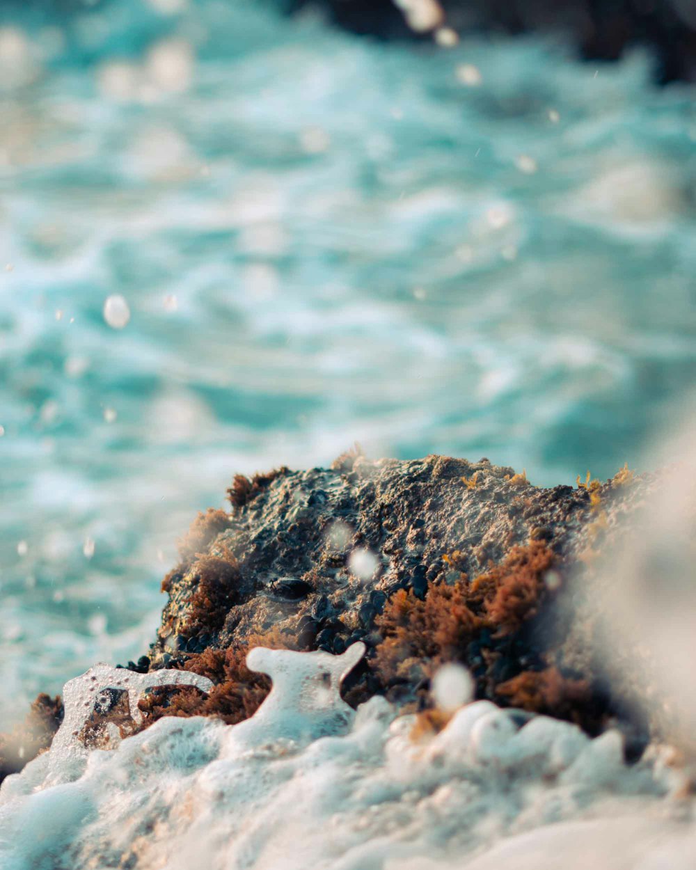 brown and white rock on water