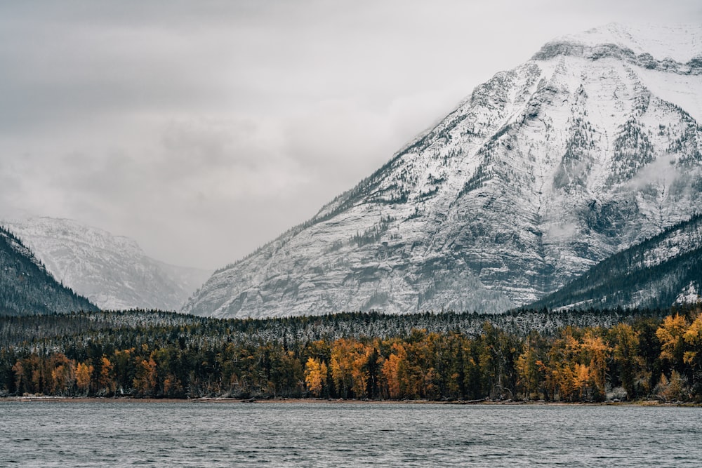 green trees near snow covered mountain during daytime