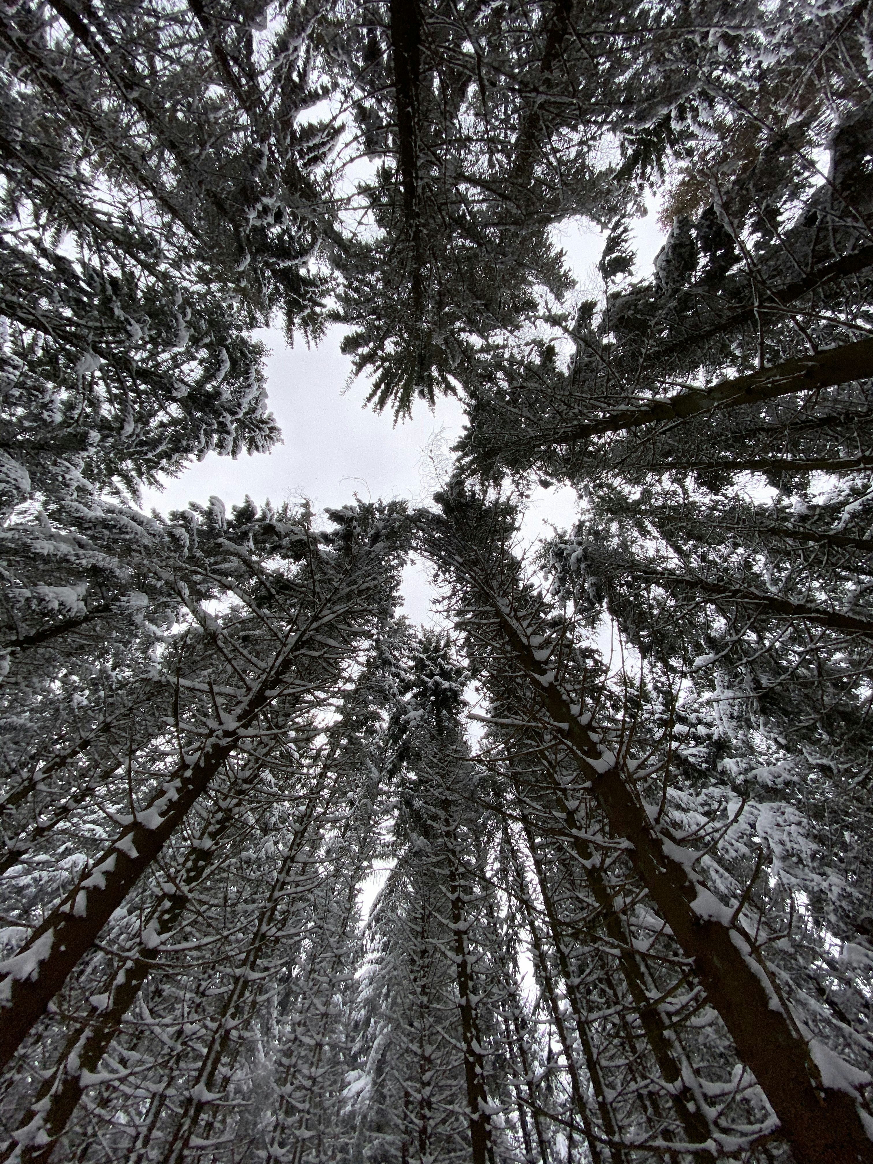 Photo by michelespics