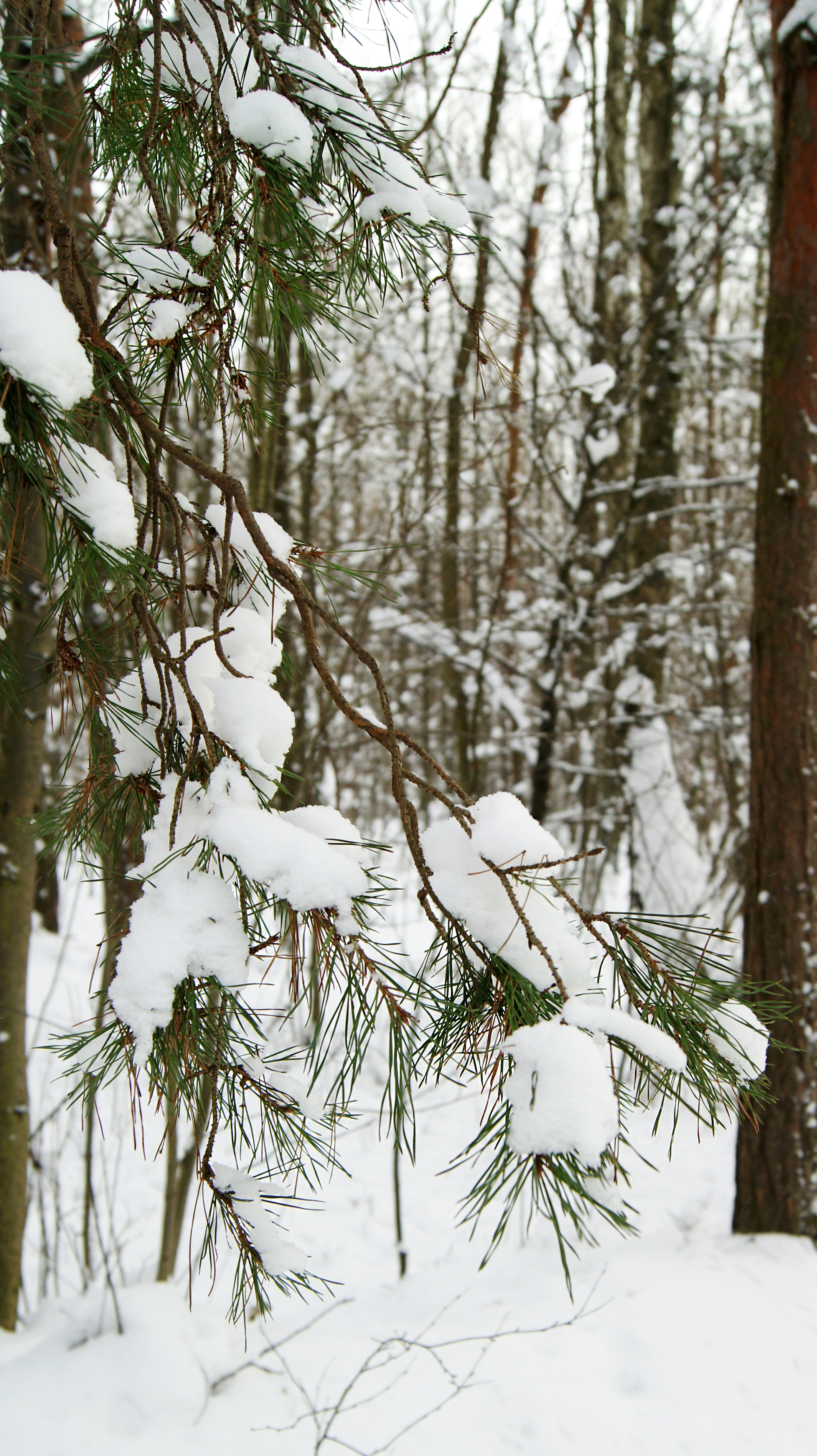 Photo by agazkatowic