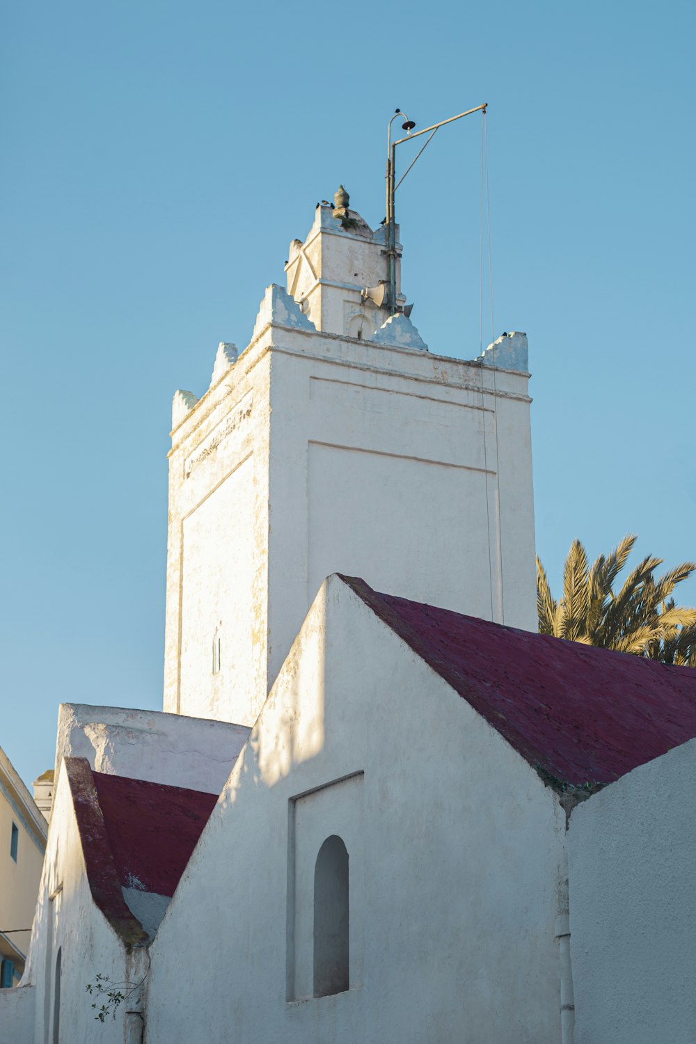 white concrete building near green palm tree under blue sky during daytime