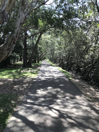 Shade trees casting cool shadows over a peaceful garden path.