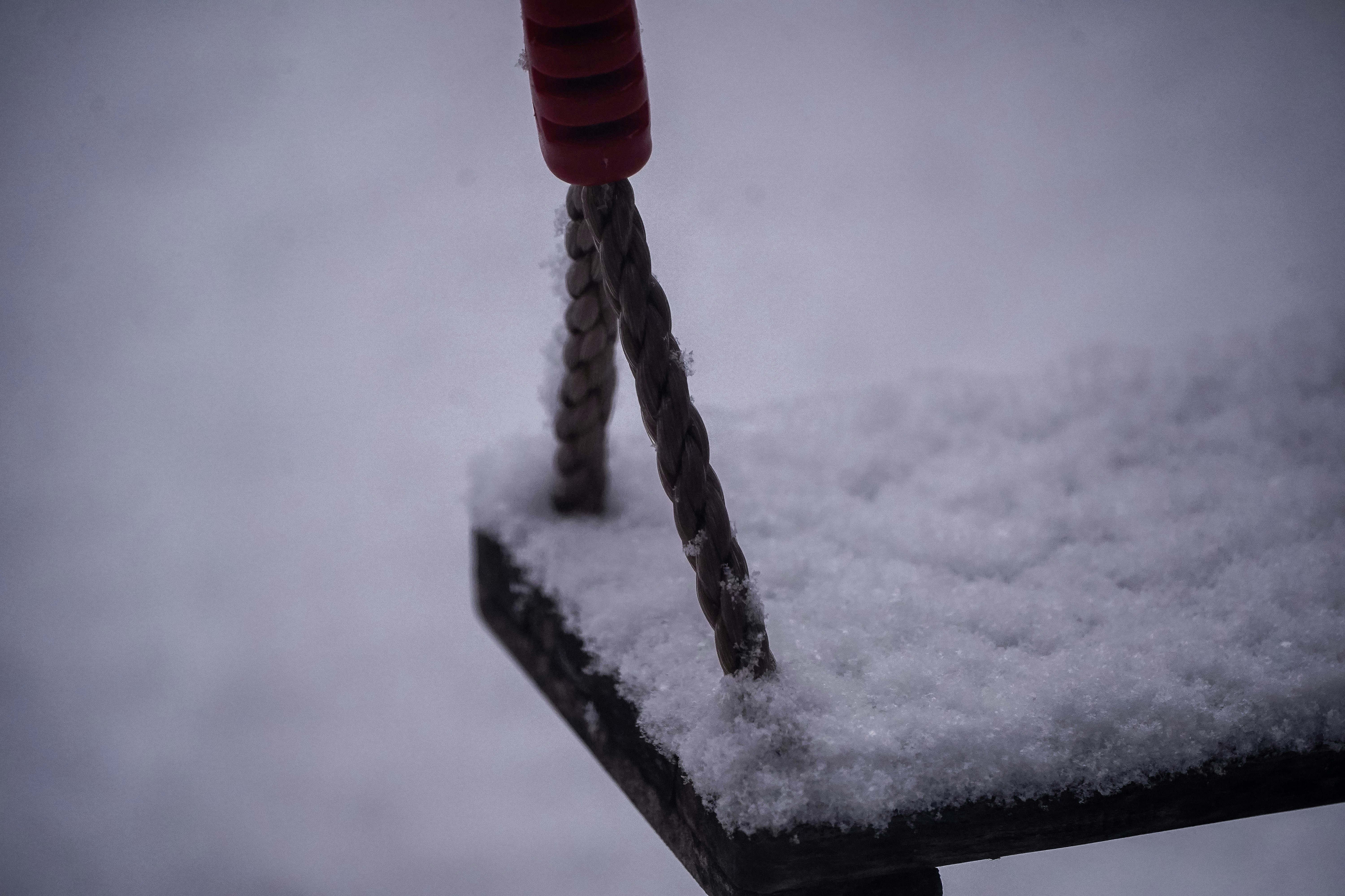 photo 1610841980107 b50de08ae576?crop=entropy&cs=tinysrgb&fit=max&fm=jpg&ixid=M3w1MjQ0NjR8MHwxfHNlYXJjaHw4fHxTbm93JTIwc2hvdmVsfGVufDB8MHx8fDE3NTE3NDAwODR8MA&ixlib=rb 4.1