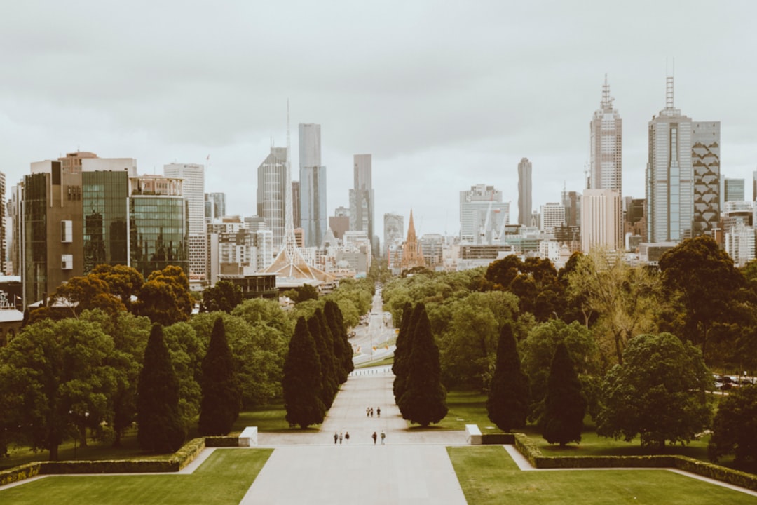 green trees near city buildings during daytime