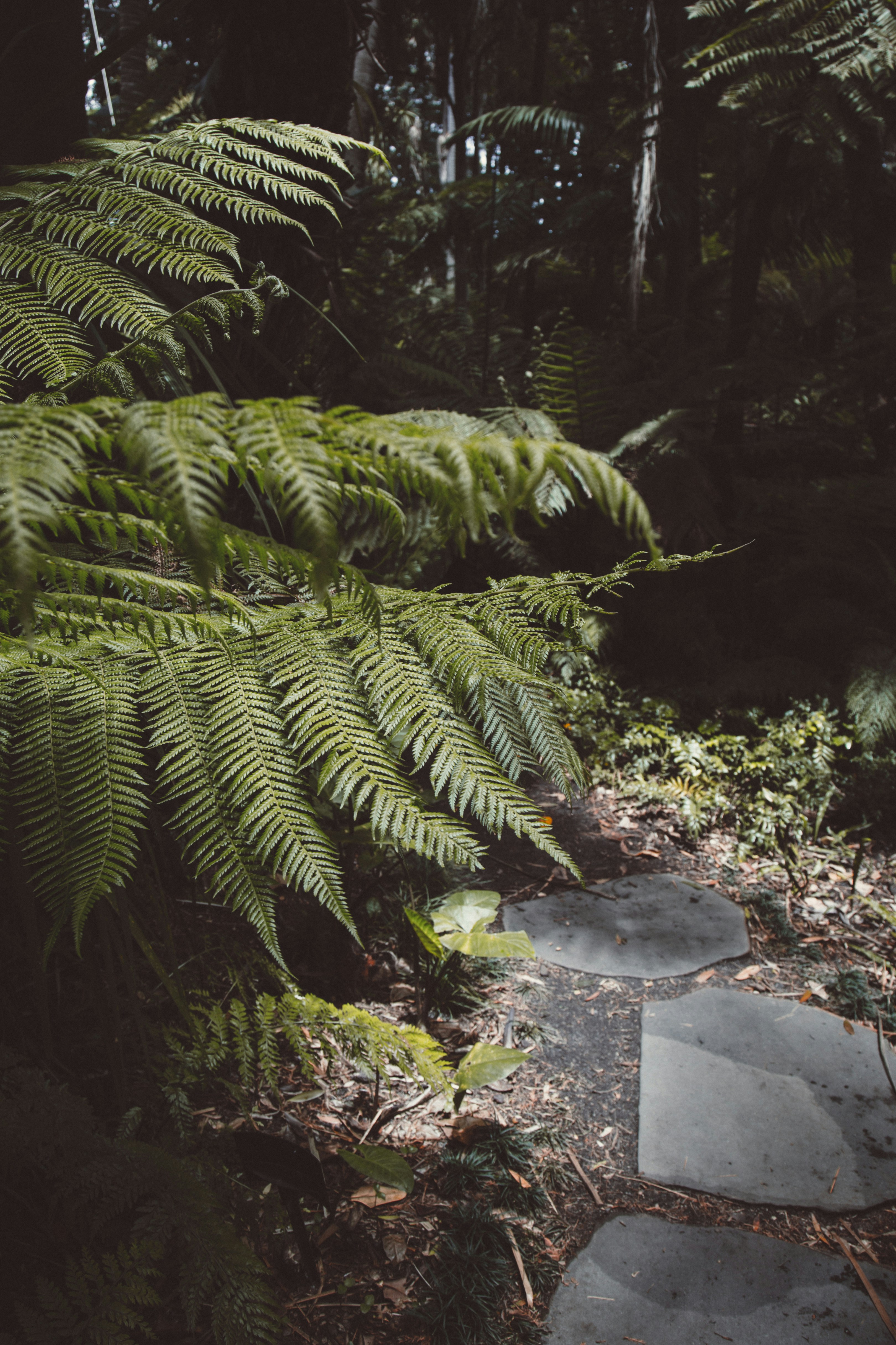 Photo by i_am_simoesse