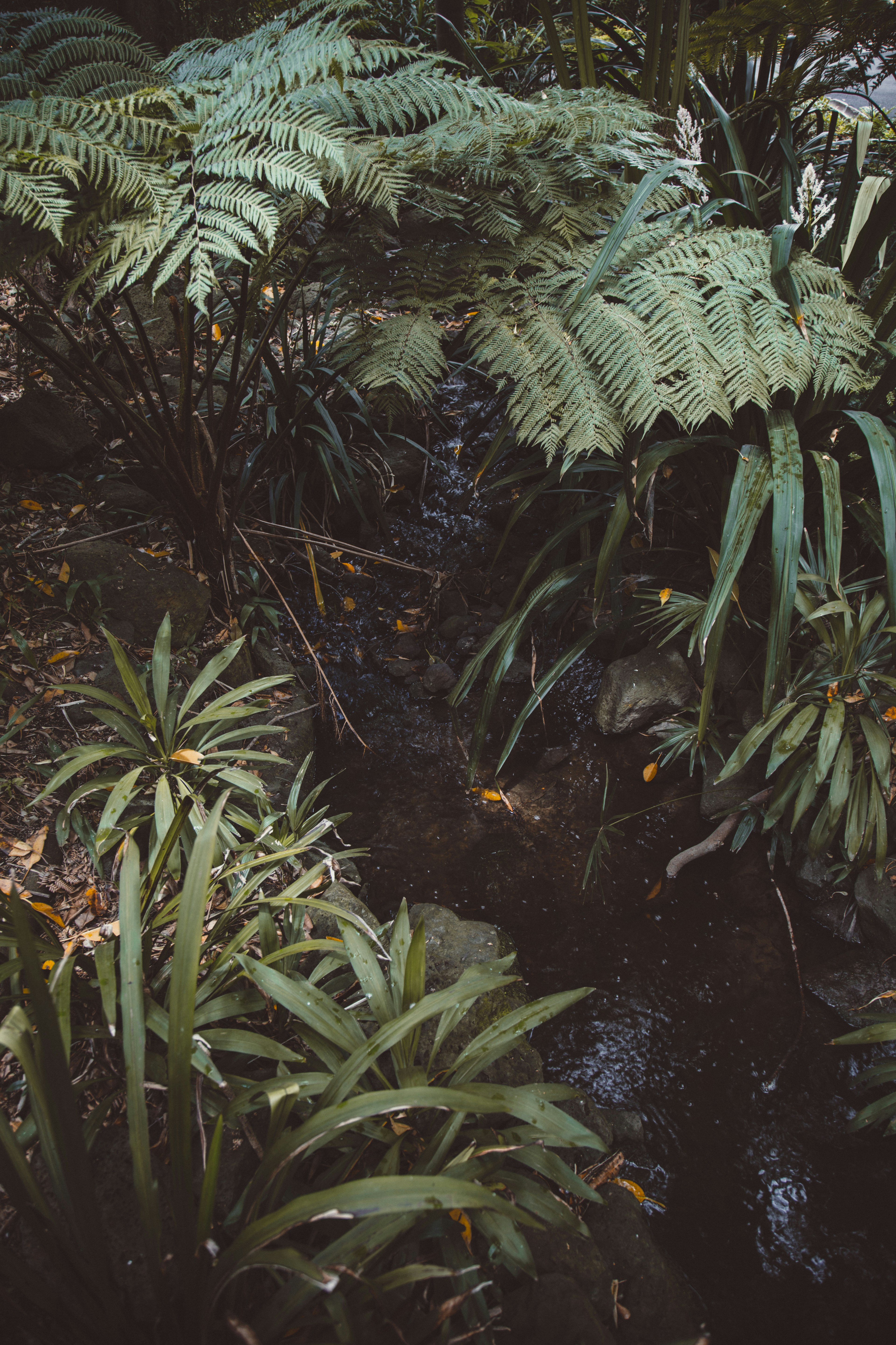 Photo by i_am_simoesse