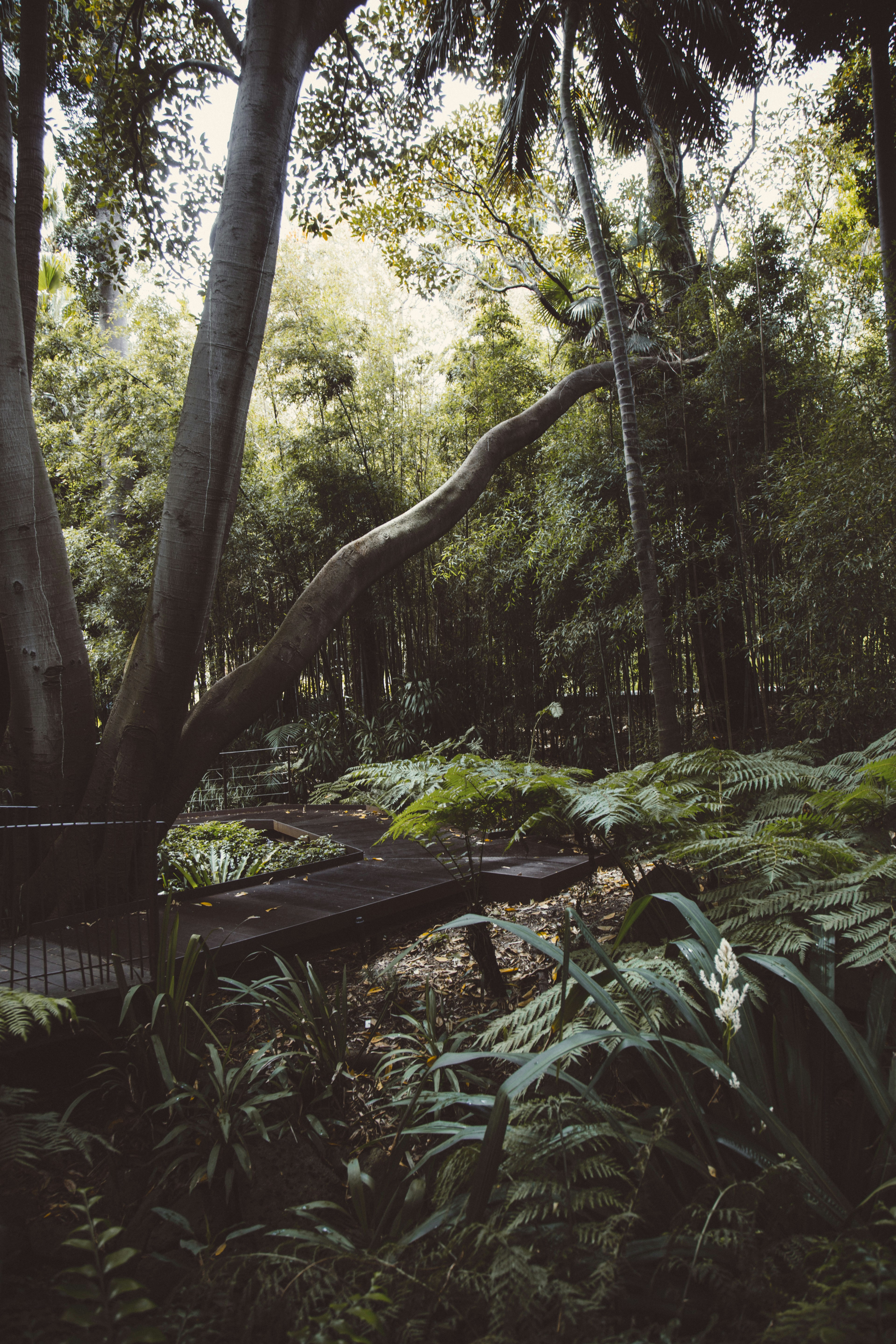 Photo by i_am_simoesse