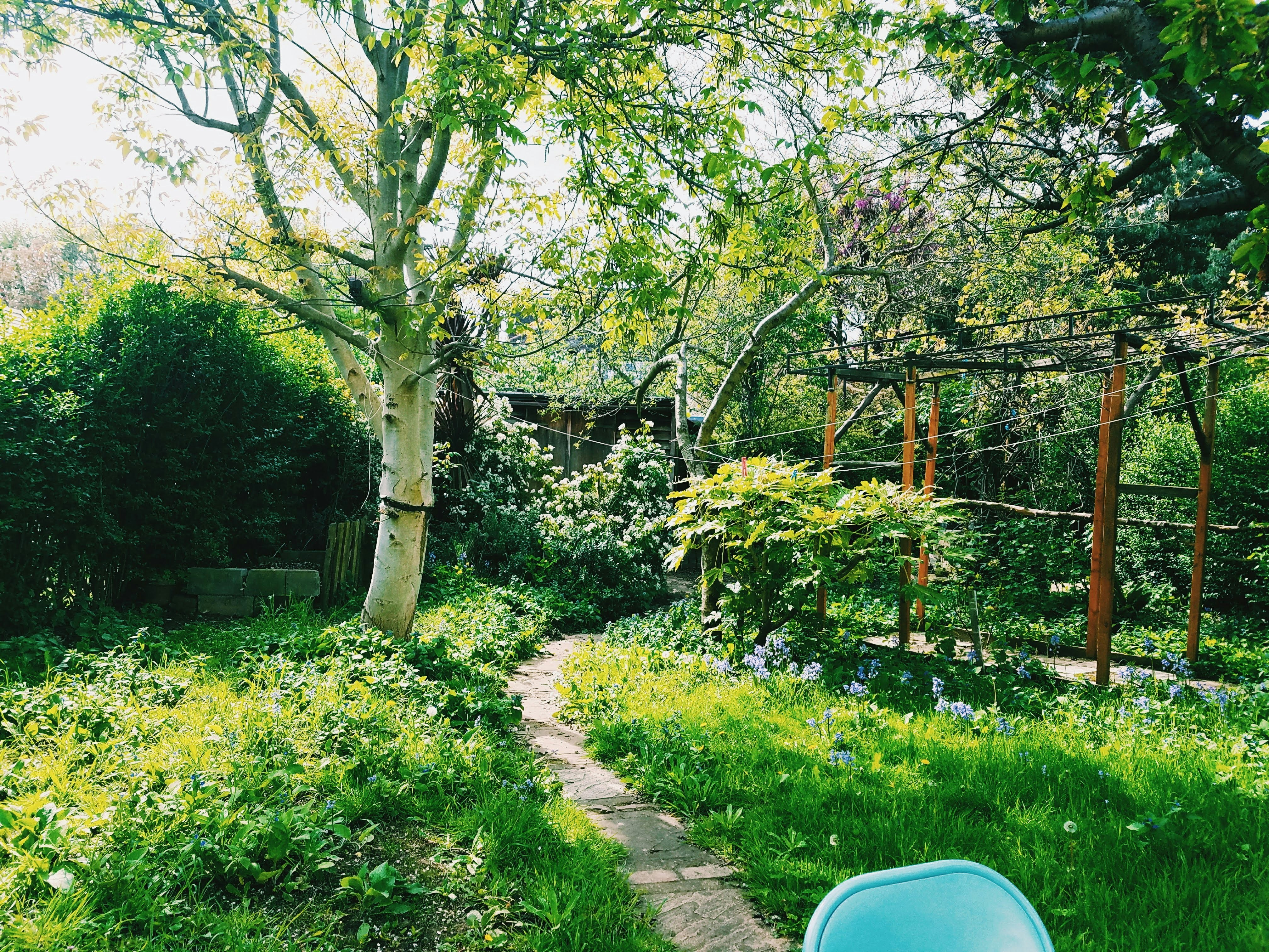 Photo by haileyellenw