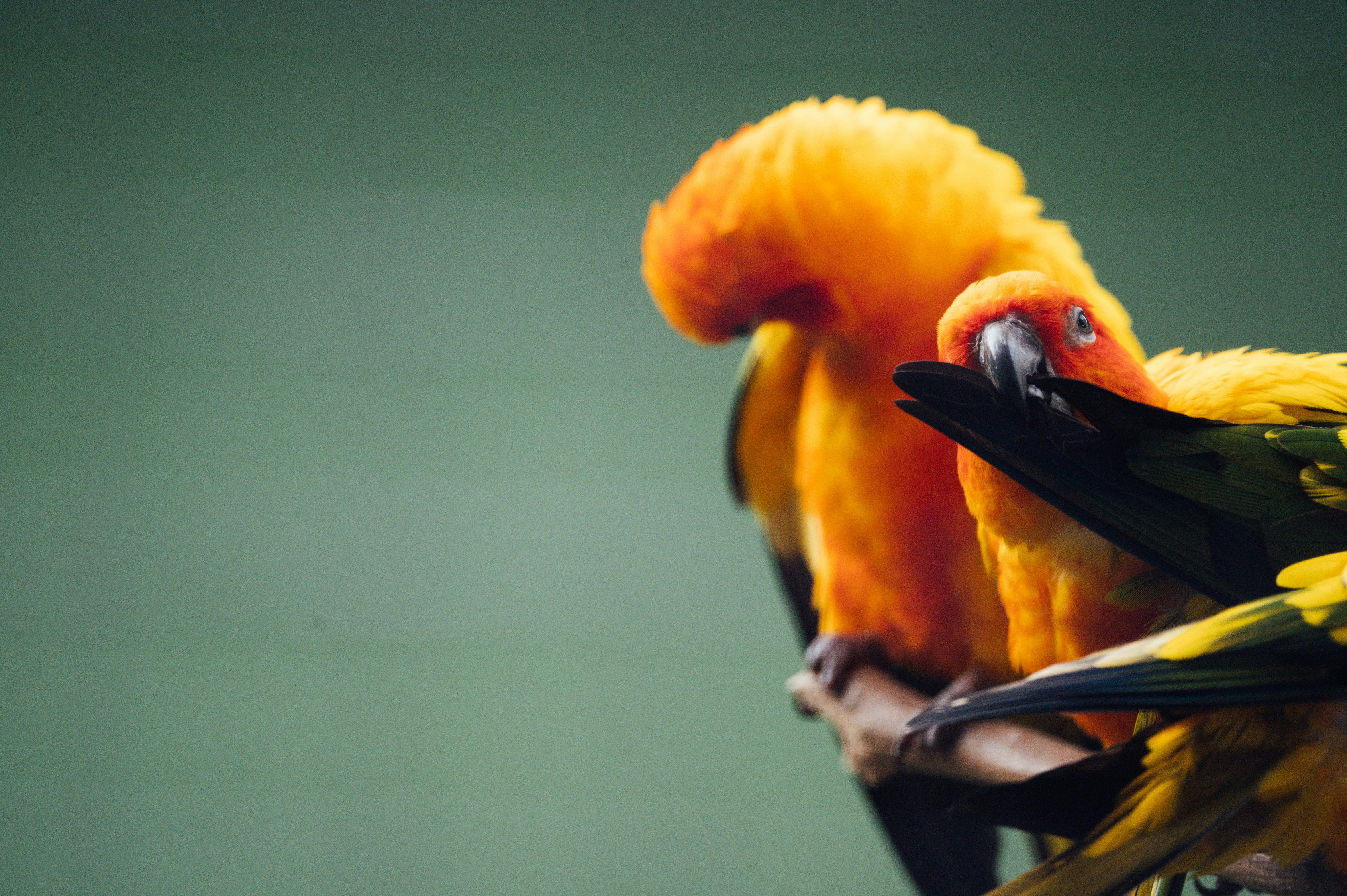 Photo by chuttersnap