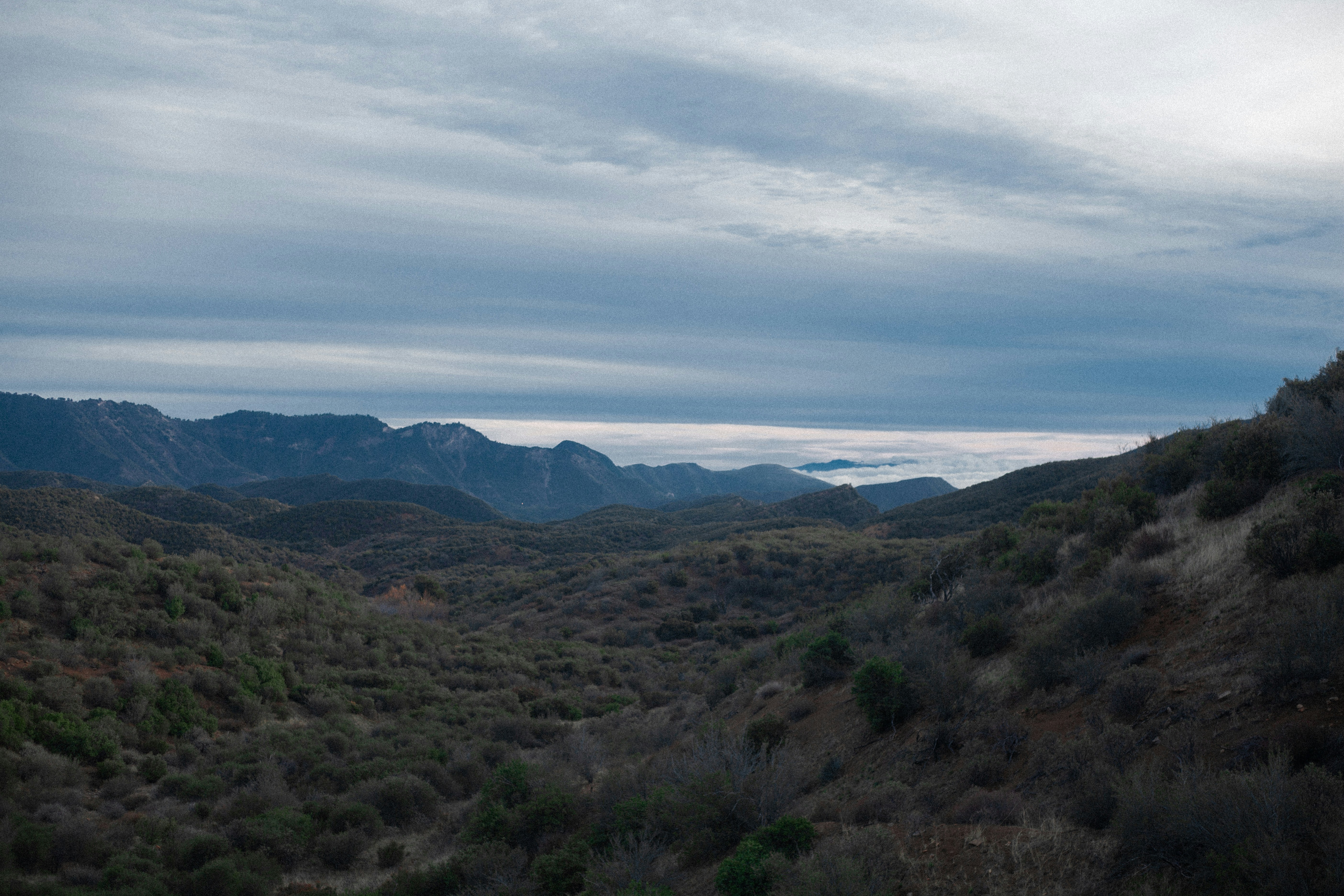 Photo by nathanielcopuca