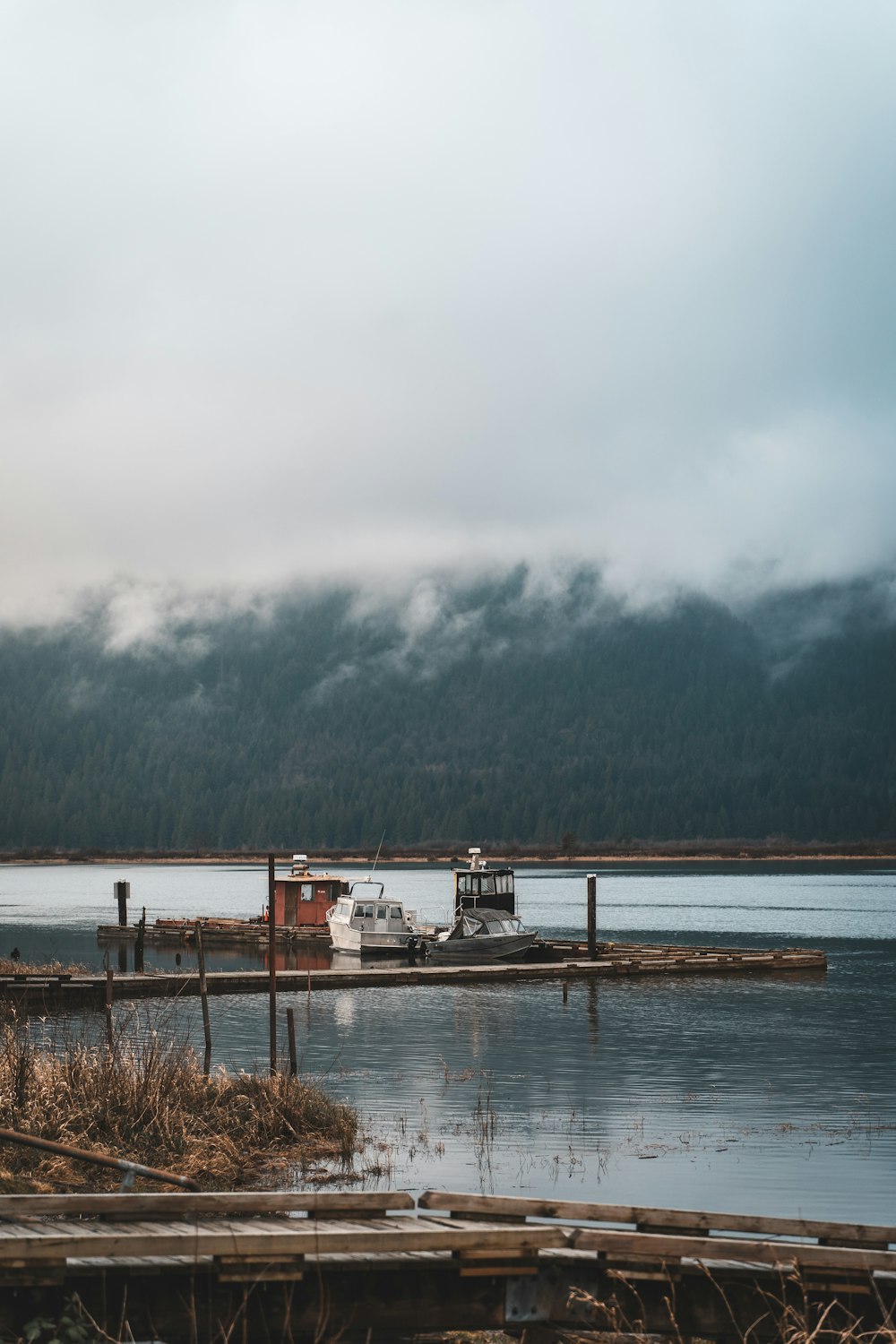 pontile di legno bianco e marrone sul lago durante il giorno