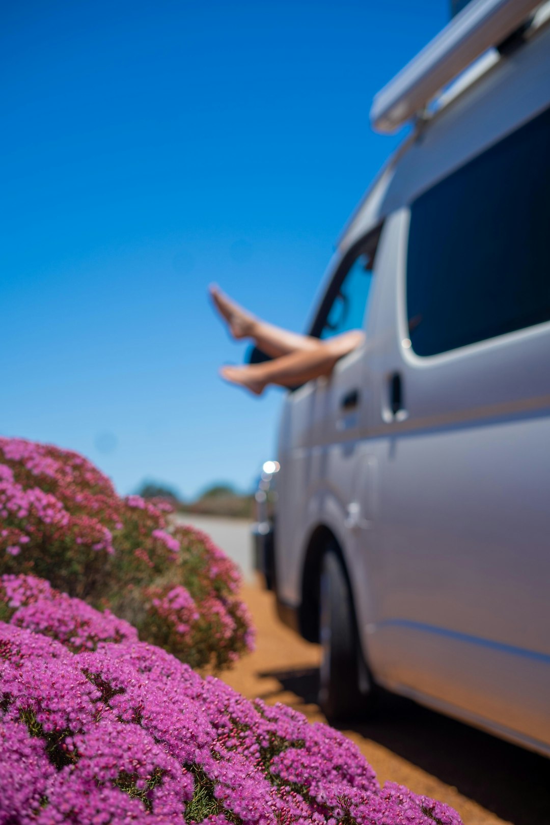 purple flower on car door