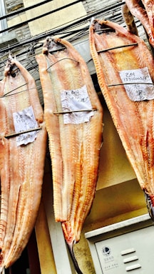 Large fish are hung side by side, drying with labels attached to each. The fish have a pinkish hue and are displayed against an urban backdrop with buildings.