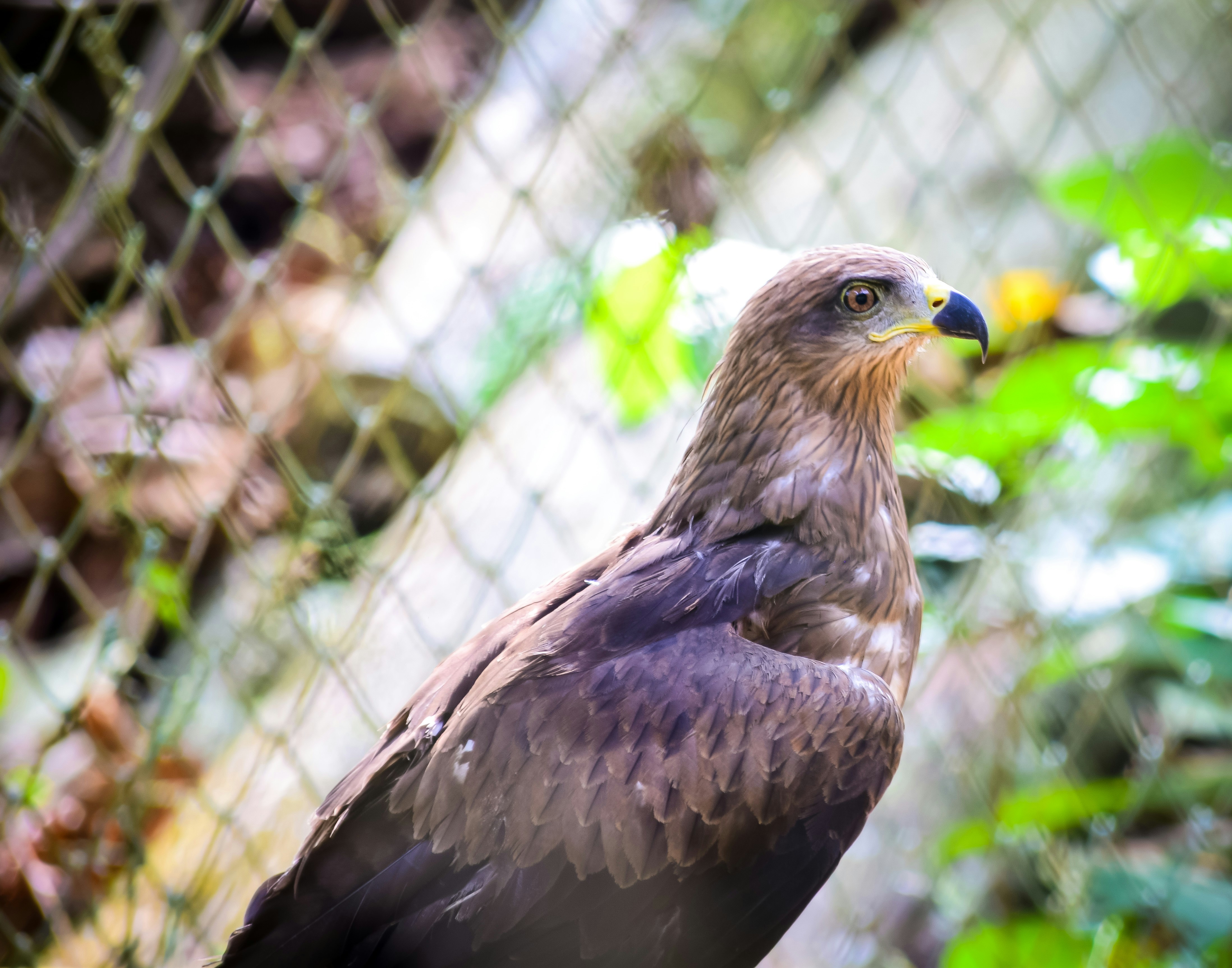 Photo by lens_witness