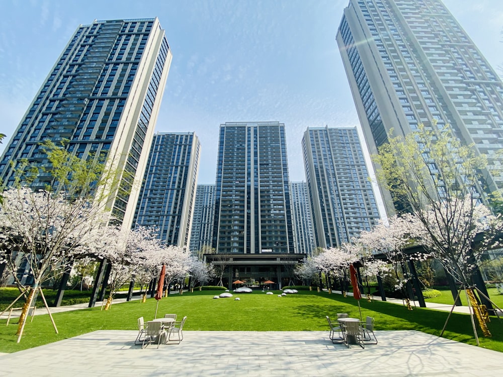 遠くに木々と高層ビルが見える緑の芝生原