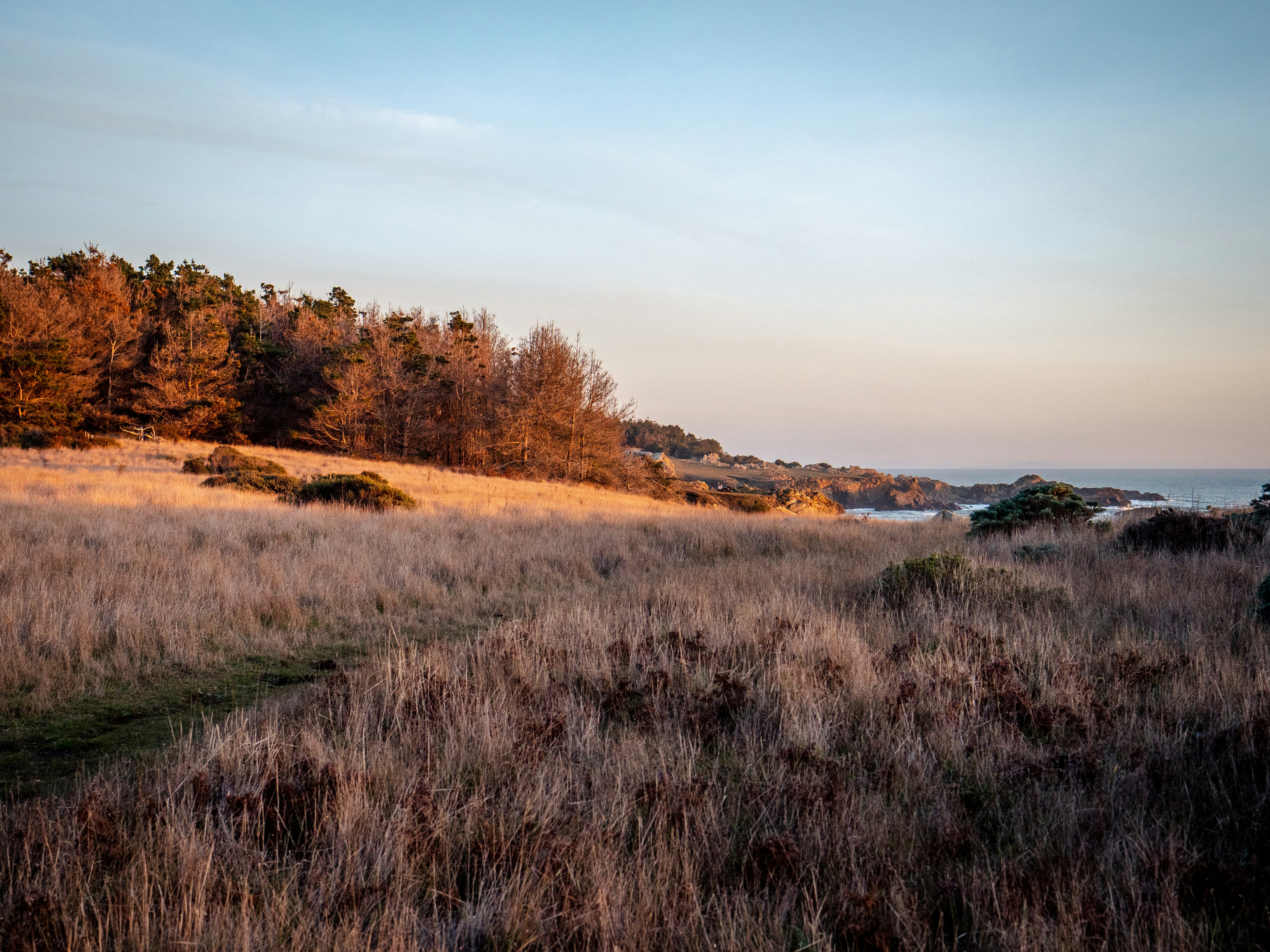 brown grass field under blue sky during daytime, 