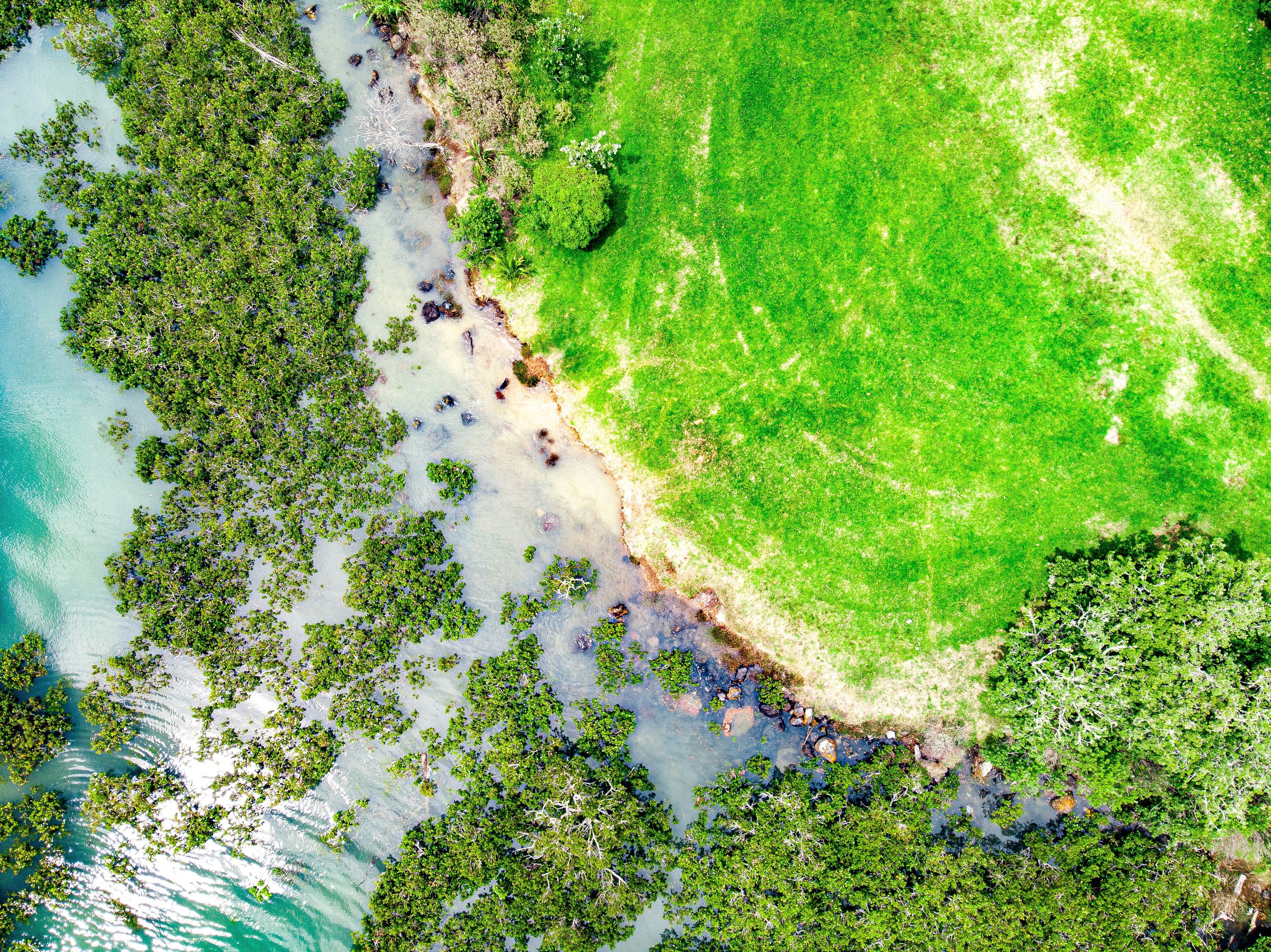 aerial view of green grass field and body of water