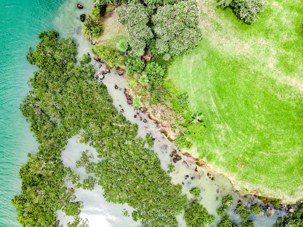 vista aérea do campo de grama verde ao lado do corpo de água durante o dia