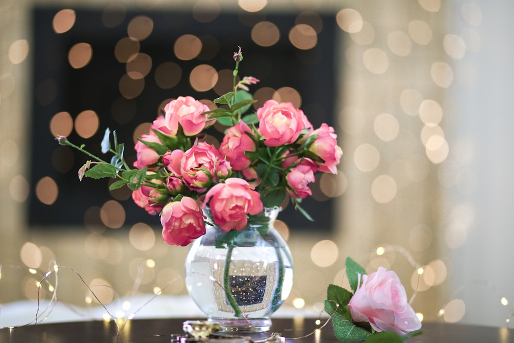 pink roses in clear glass vase