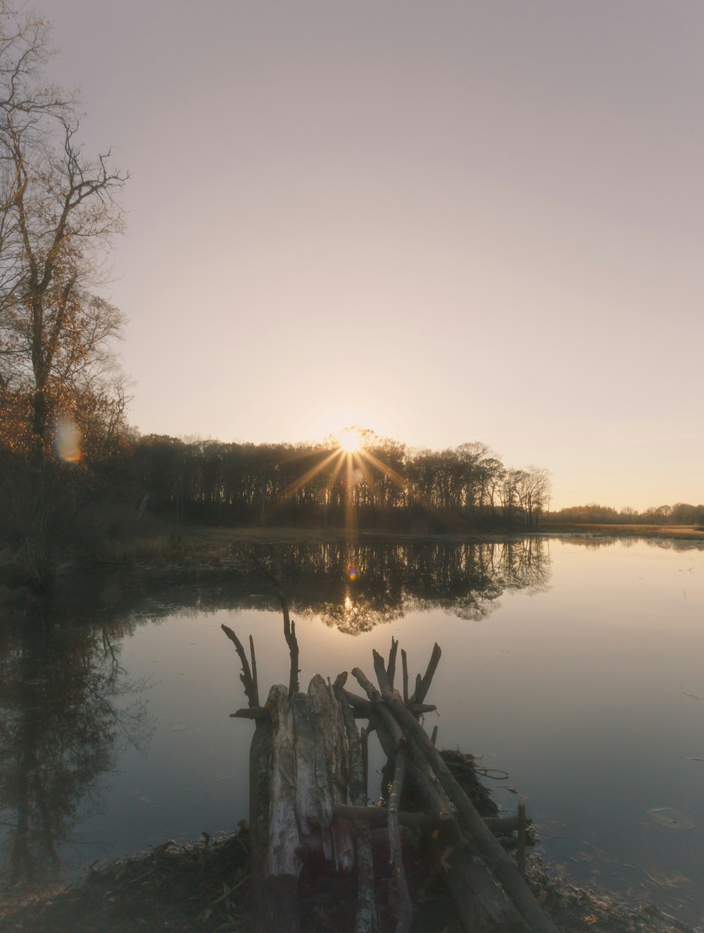 body of water near trees during sunset