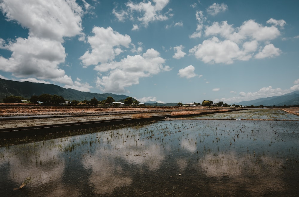 brown field near body of water under blue and white sunny cloudy sky during daytime