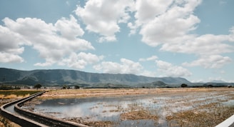 A serene landscape of rice fields under a clear blue sky.